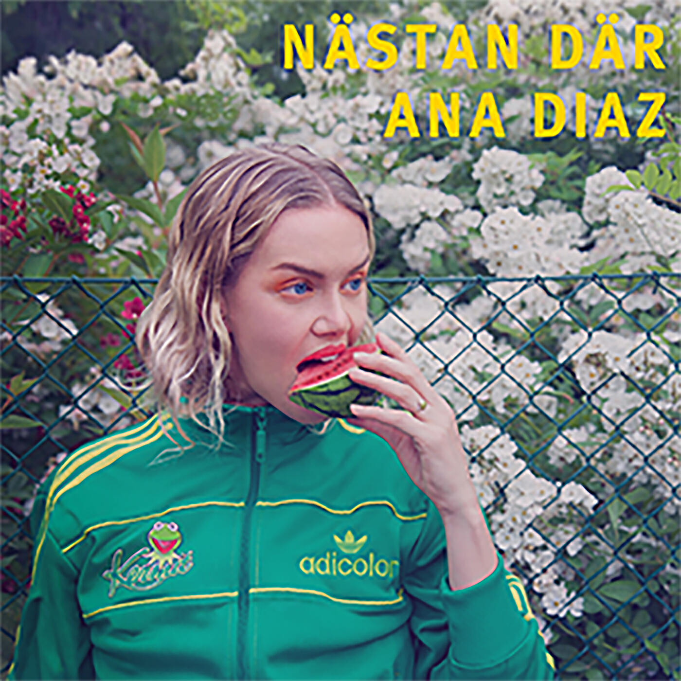Релиз Nästan där