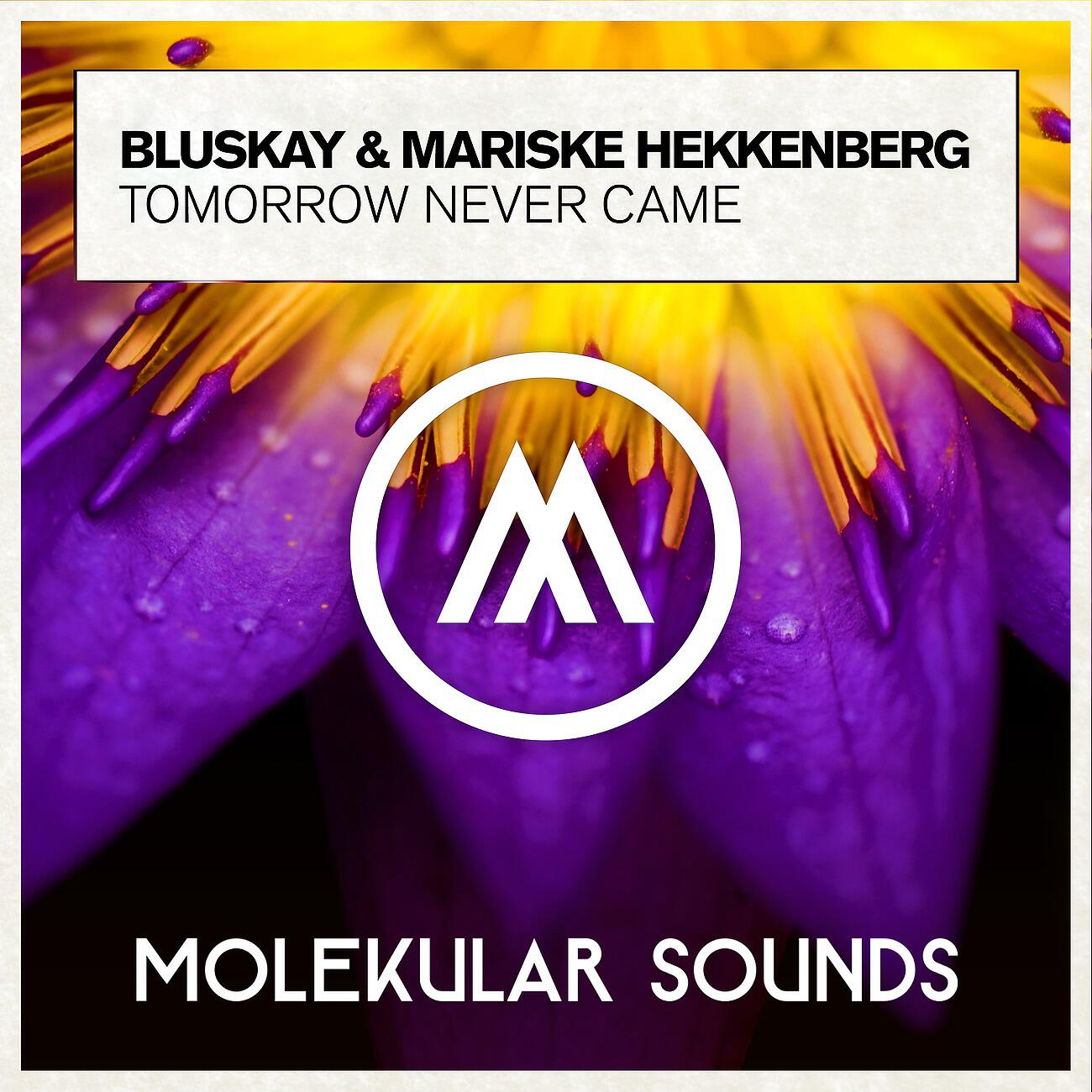 Релиз Tomorrow Never Came