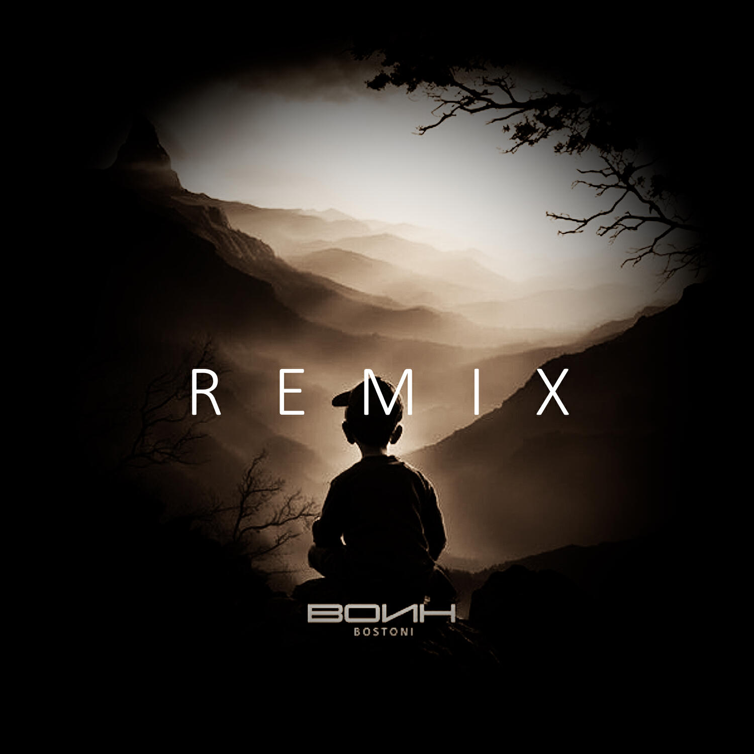 Релиз Воин (DIMUSIK Remix)