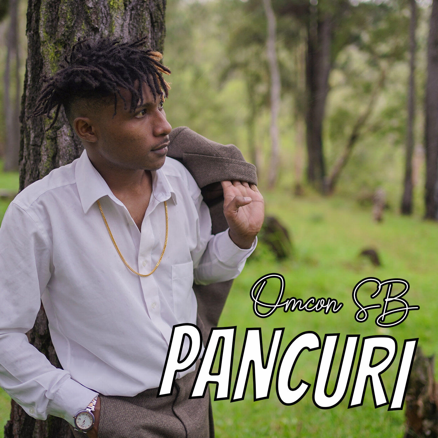 Релиз Pancuri
