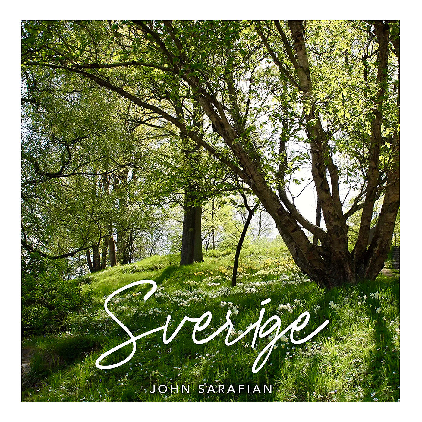 Релиз Sverige