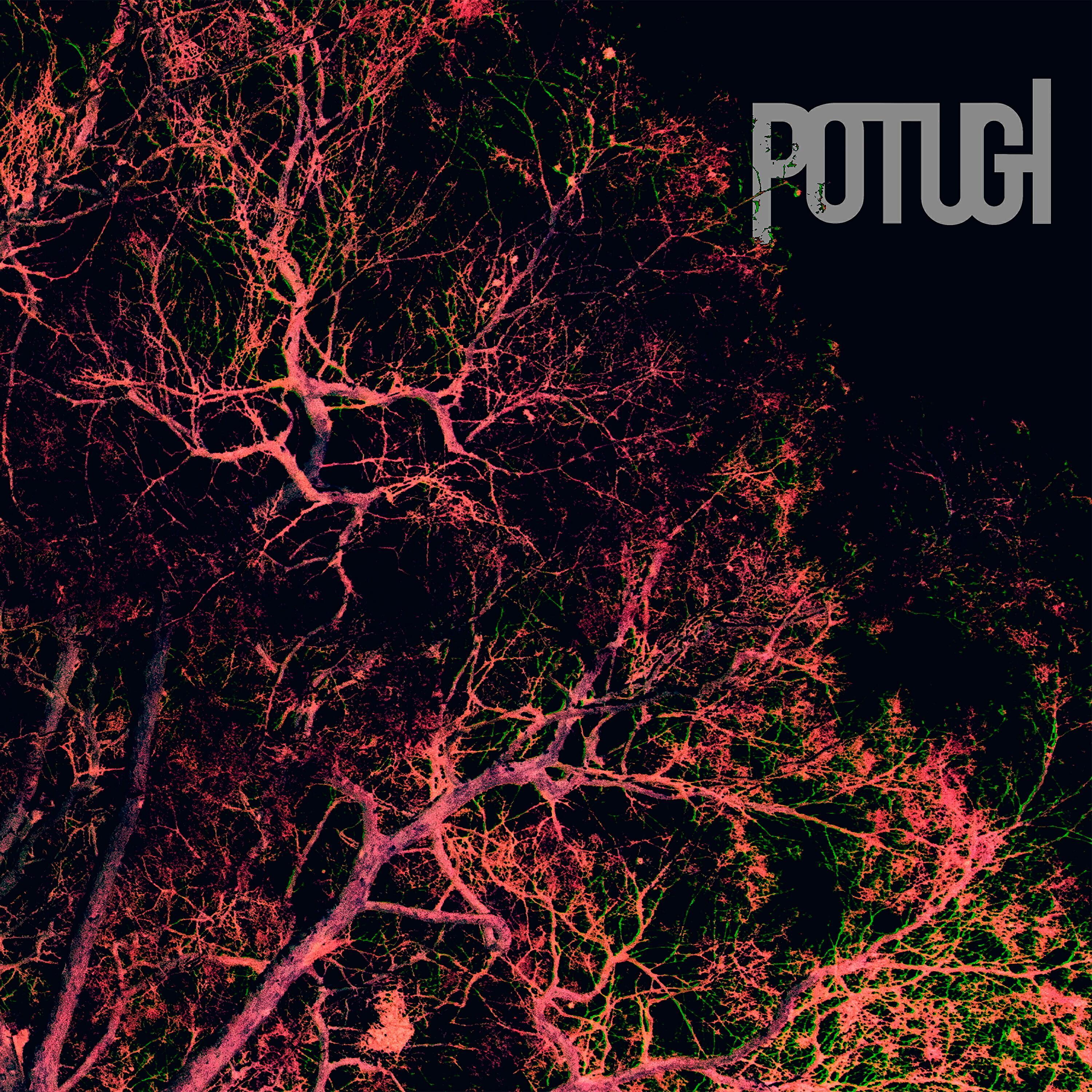 POTUGI