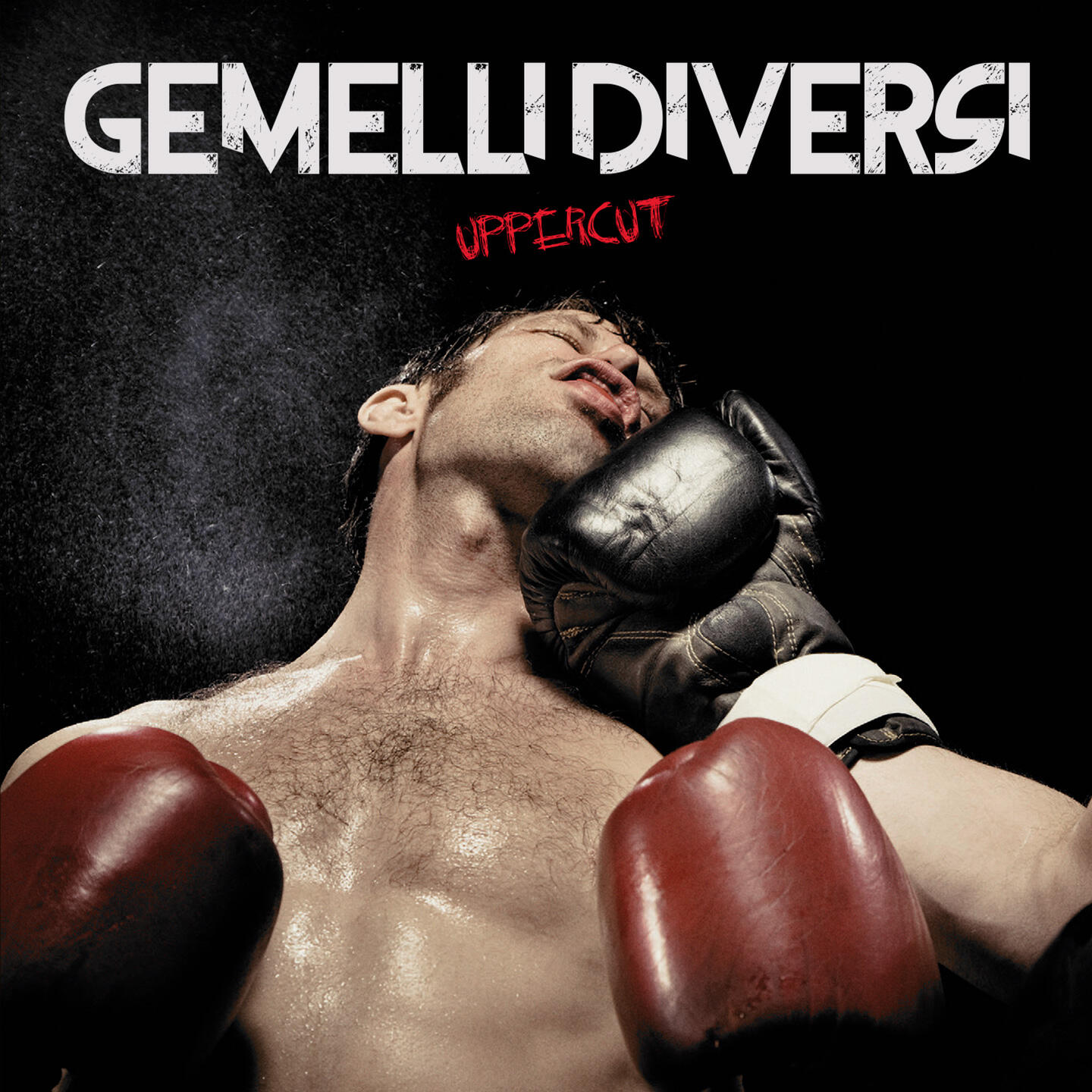 Постер альбома Uppercut