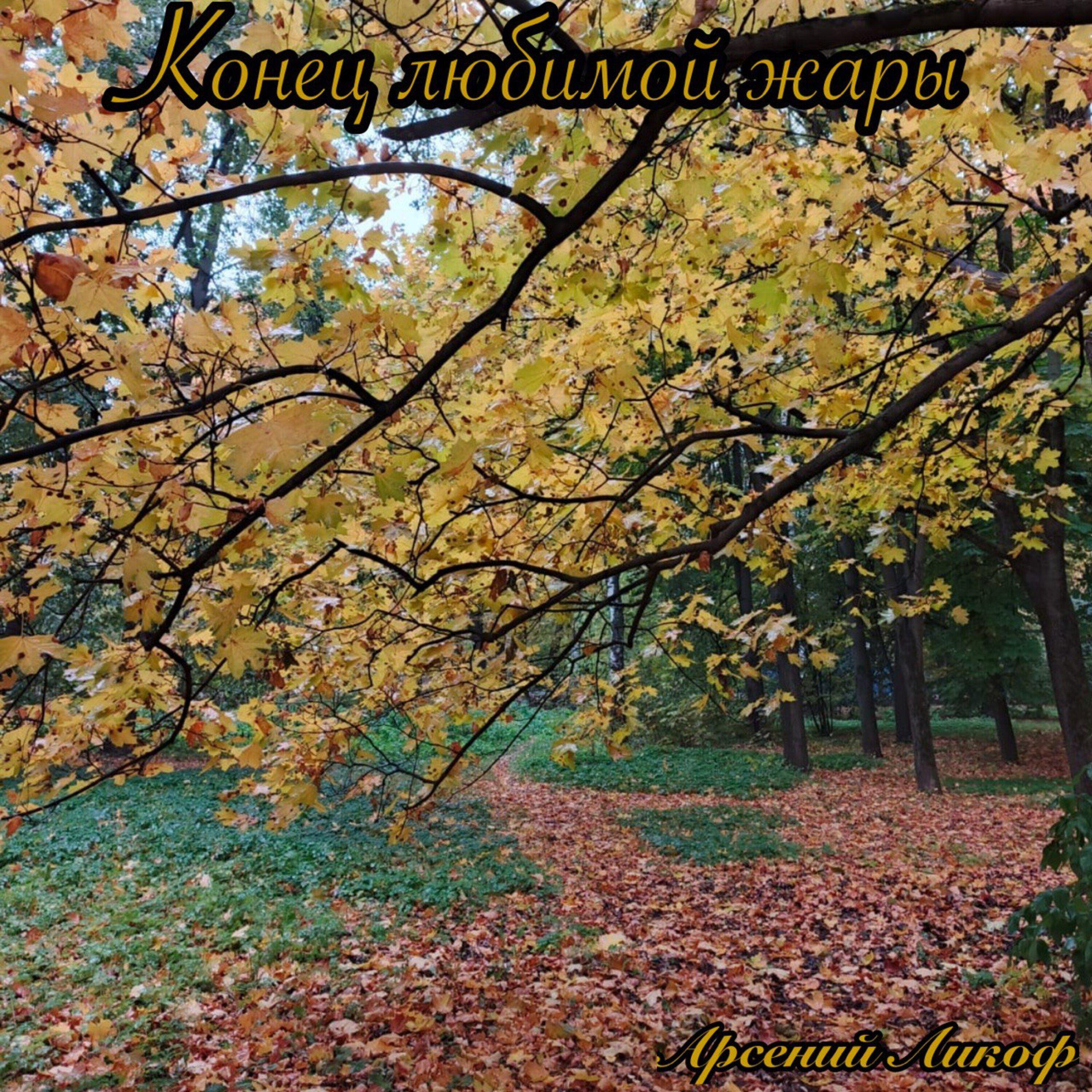 Арсений Ликоф