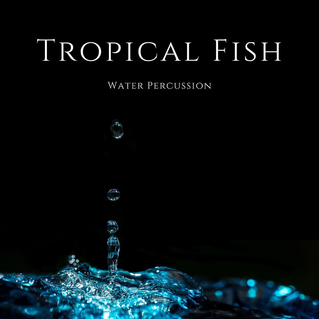 Релиз Water Percussion