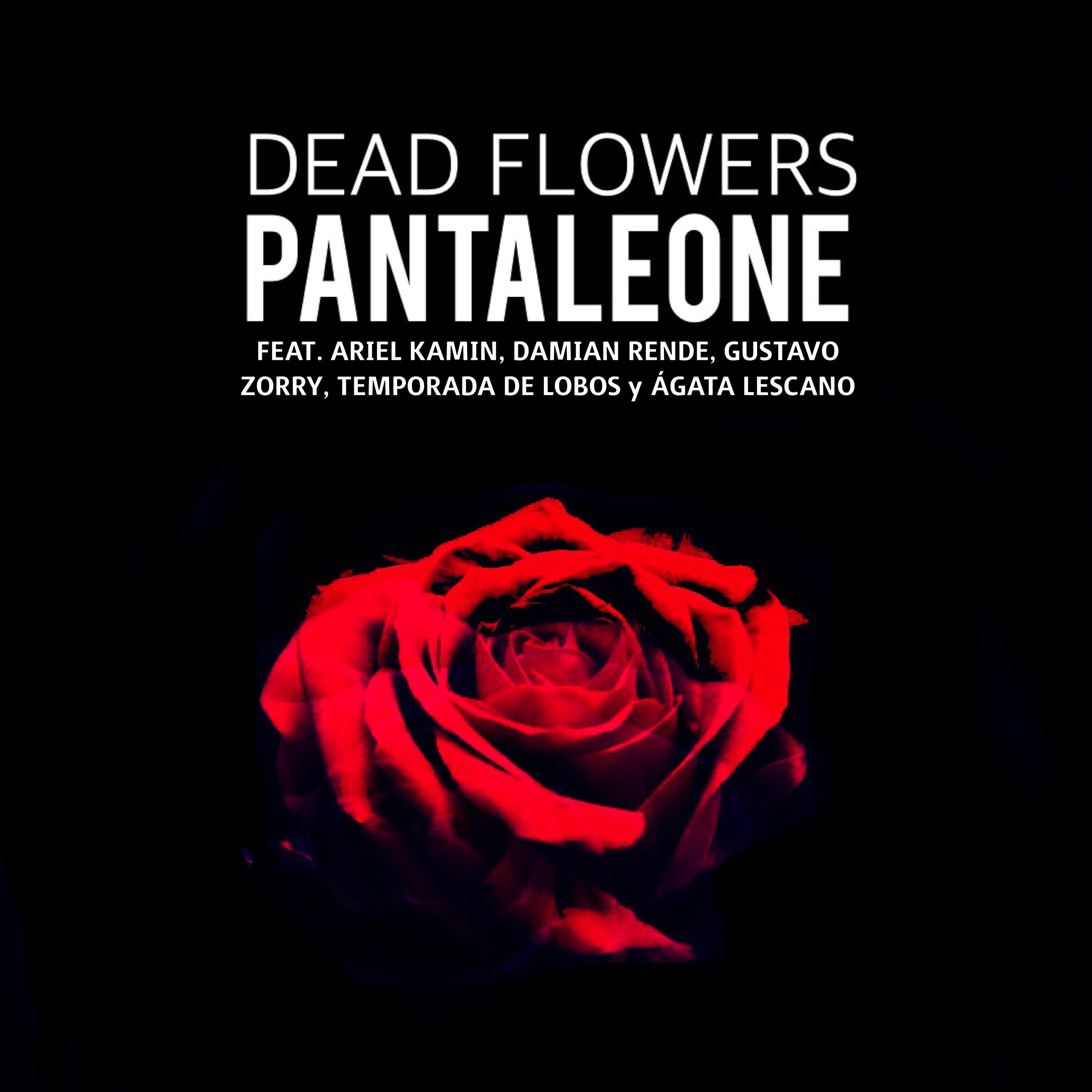 Релиз Dead Flowers