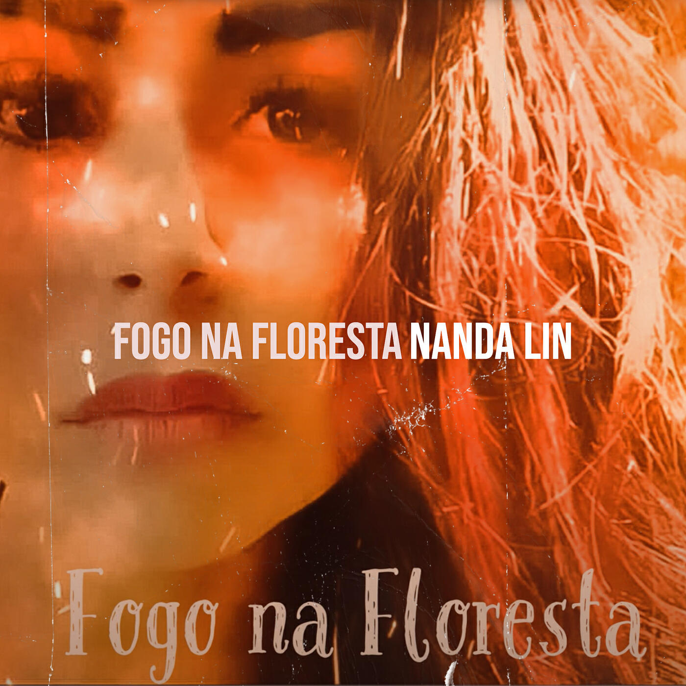 Релиз Fogo Na Floresta