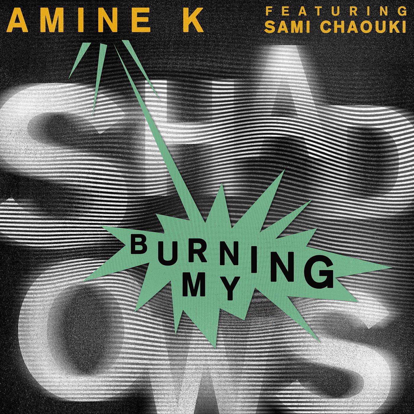 Релиз Burning My Shadows