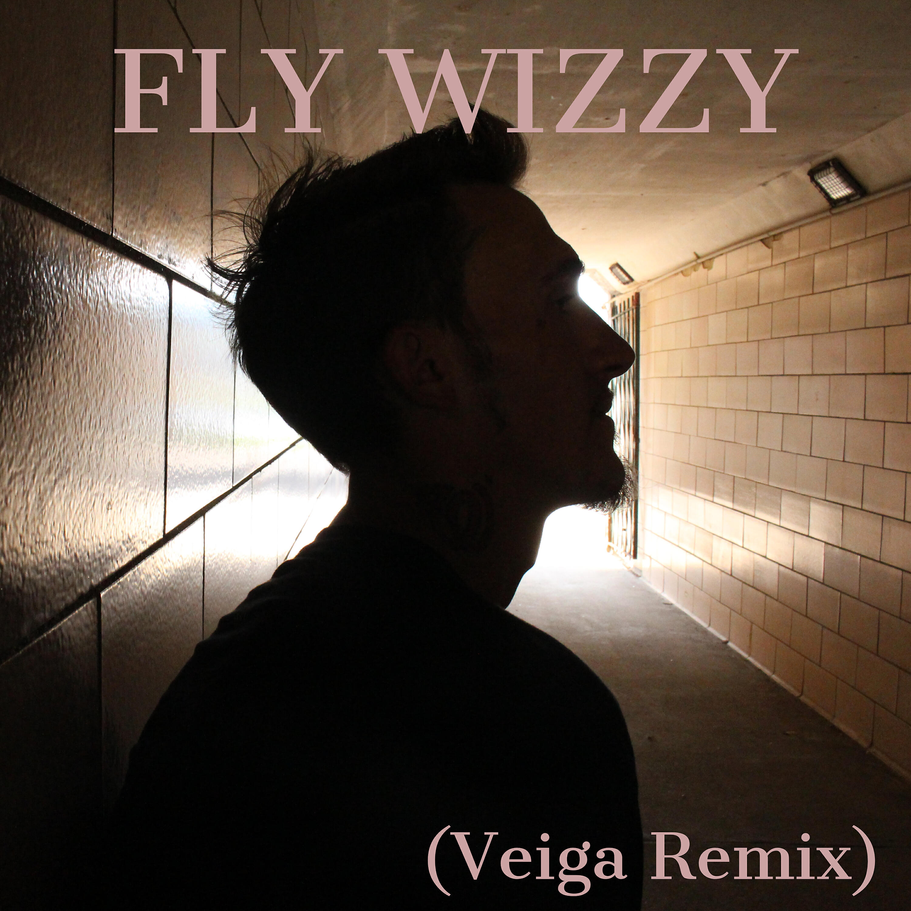 Релиз Come Closer (Veiga Remix)