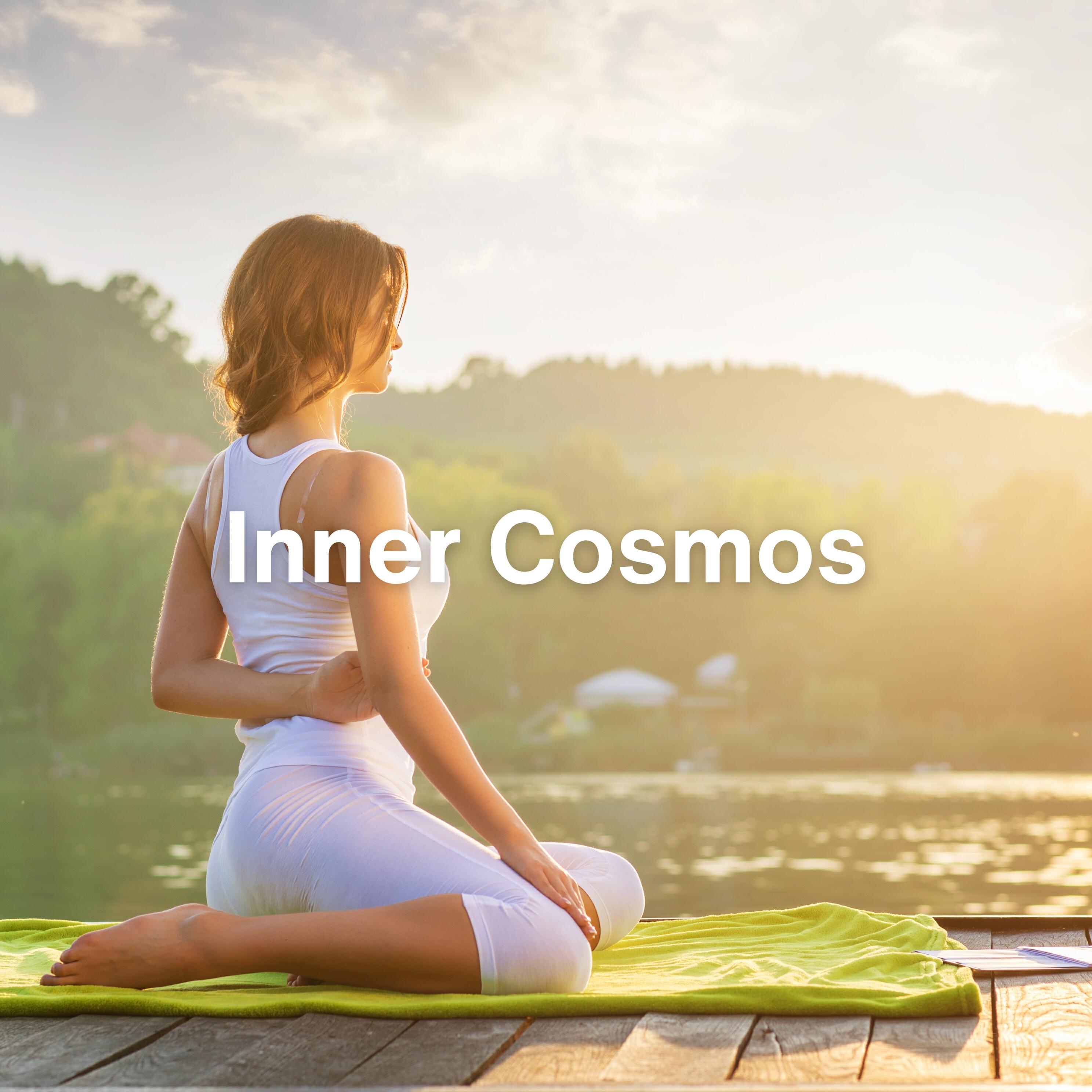 Релиз Inner Cosmos