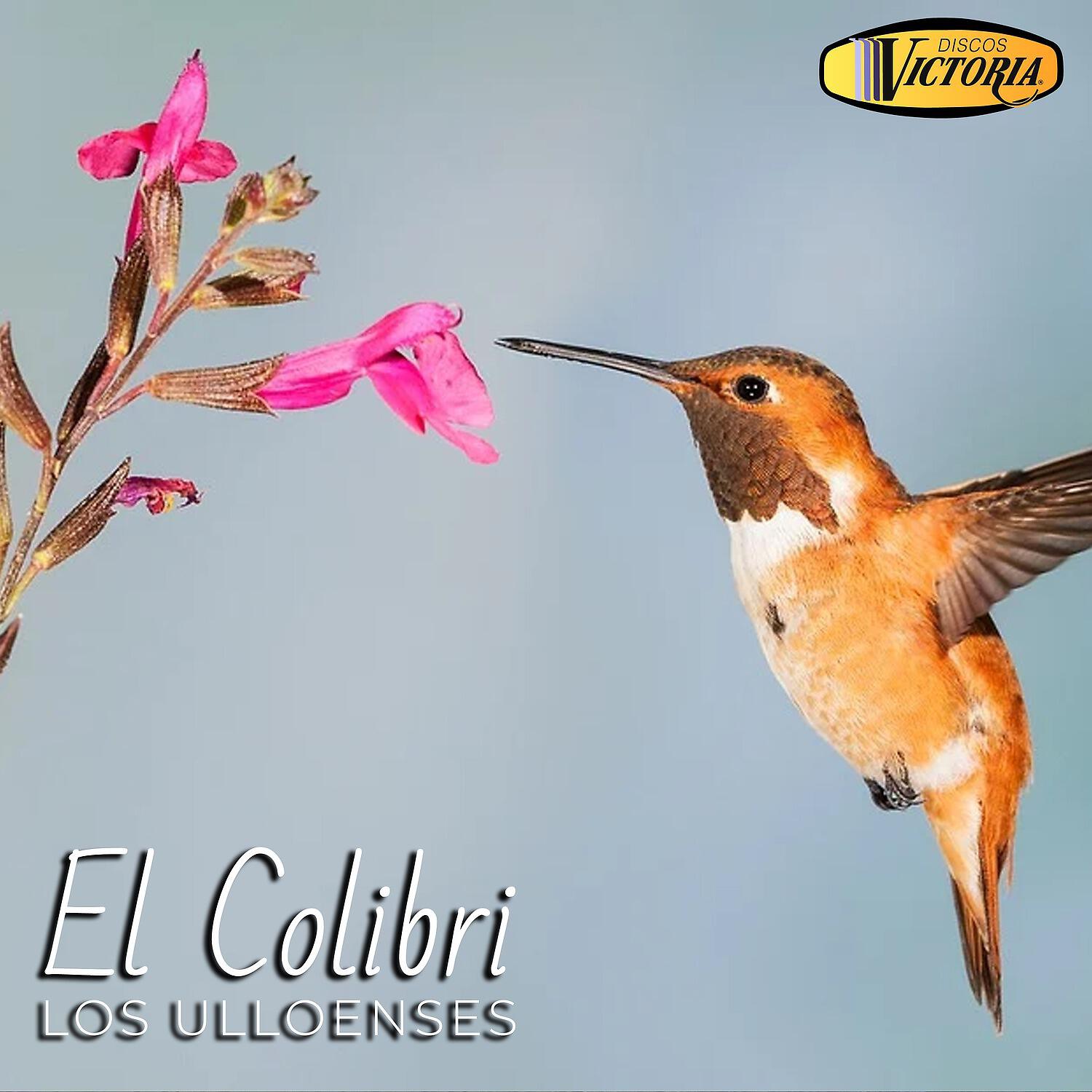 Los Ulloenses