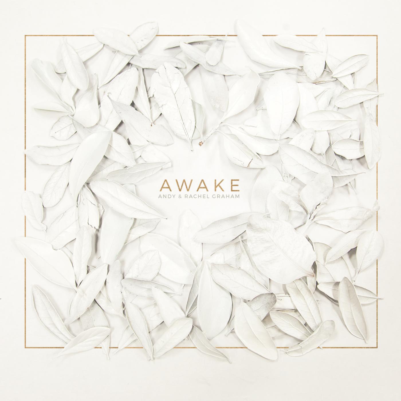 Релиз Awake