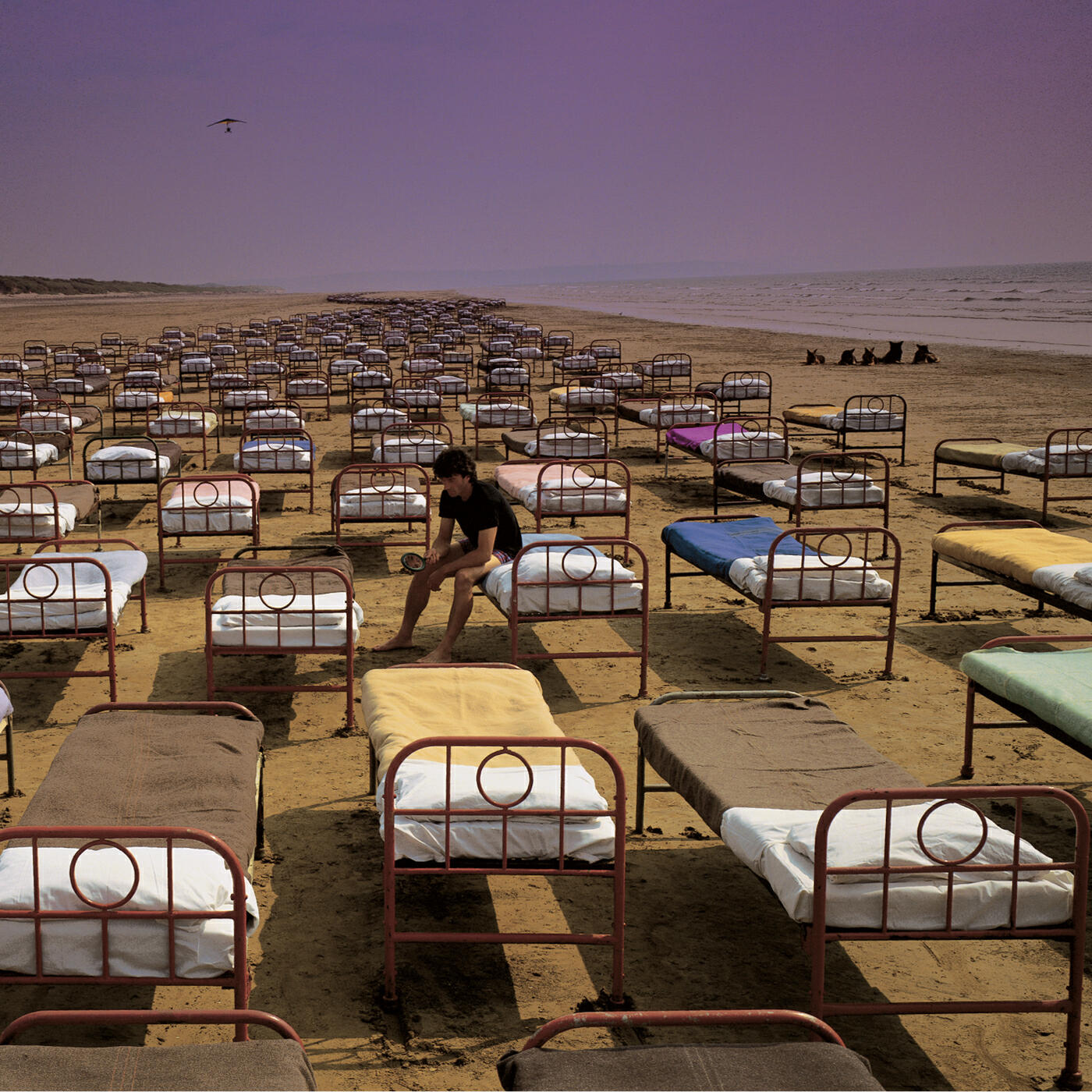 Релиз A Momentary Lapse of Reason
