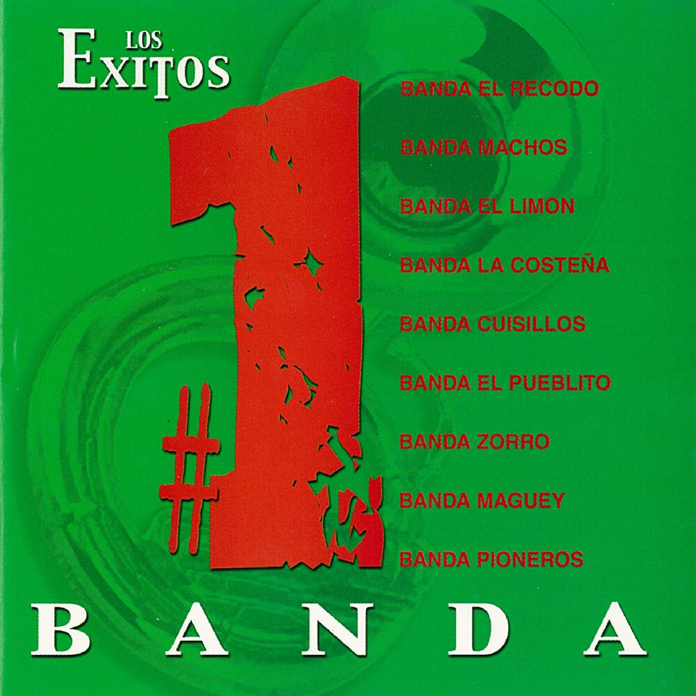 Banda El Limon