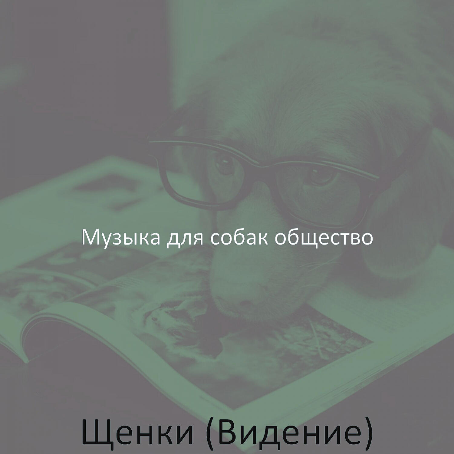 Релиз Щенки (Видение)