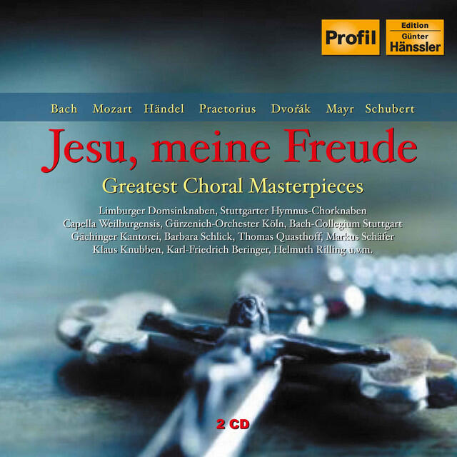 Трек Mass in A Major, BWV 234: Gloria