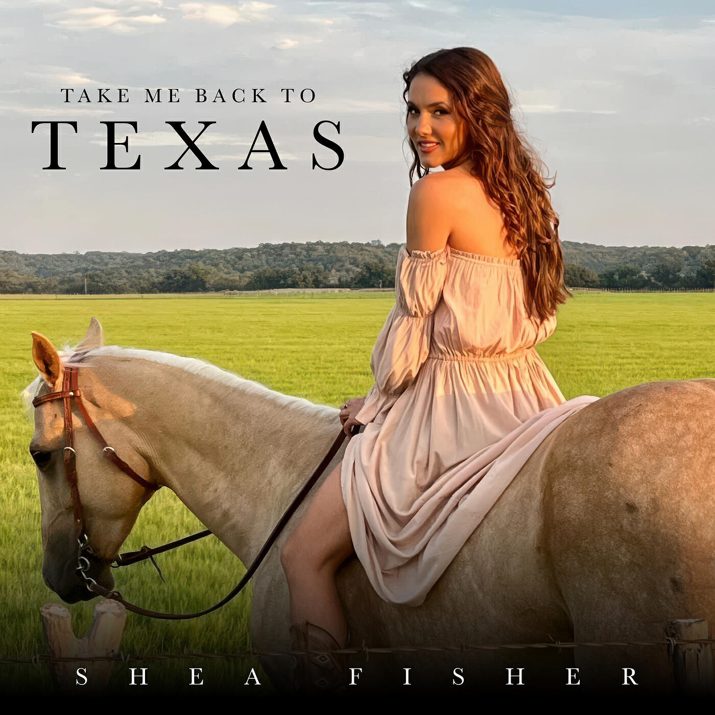 Релиз Take Me Back to Texas