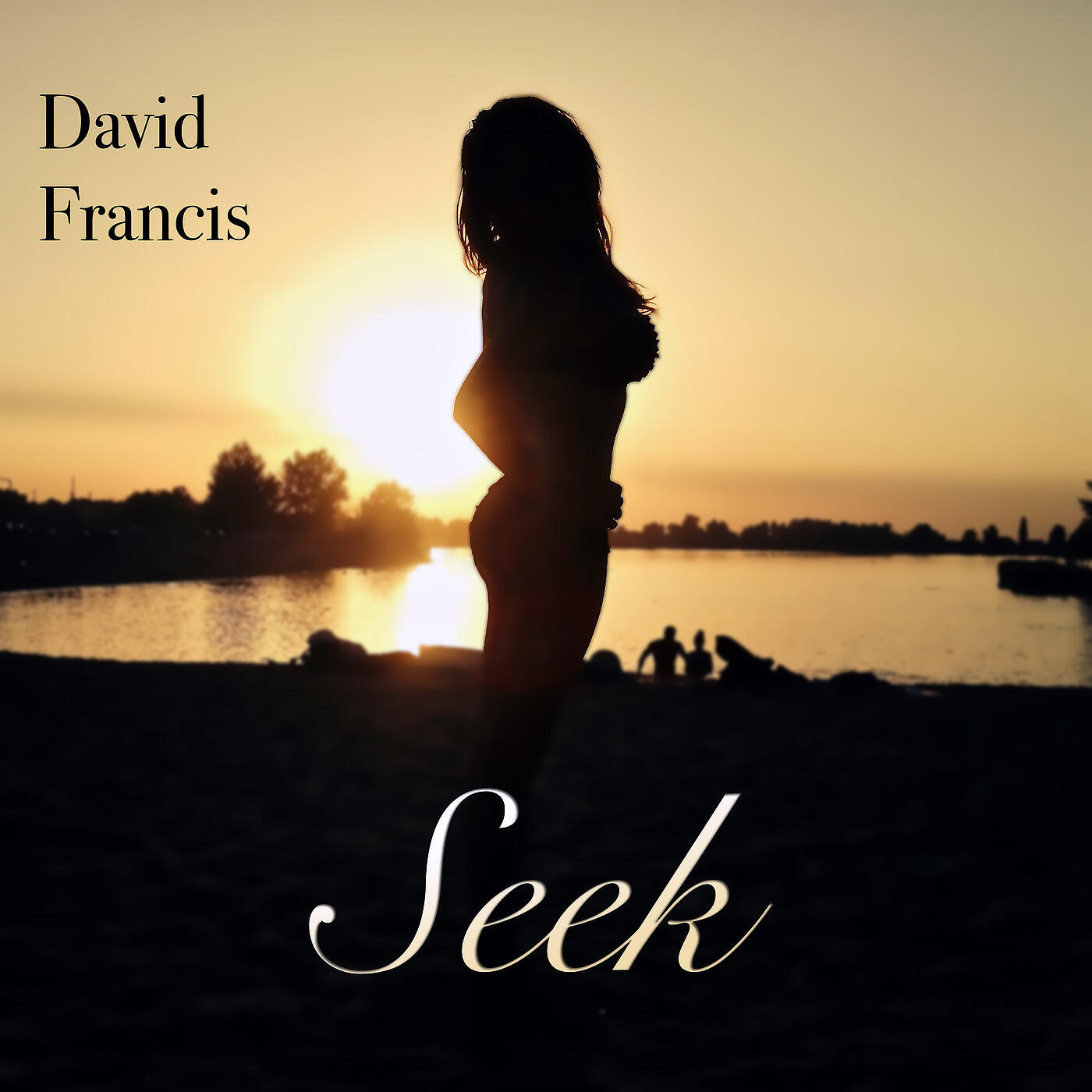 Релиз Seek