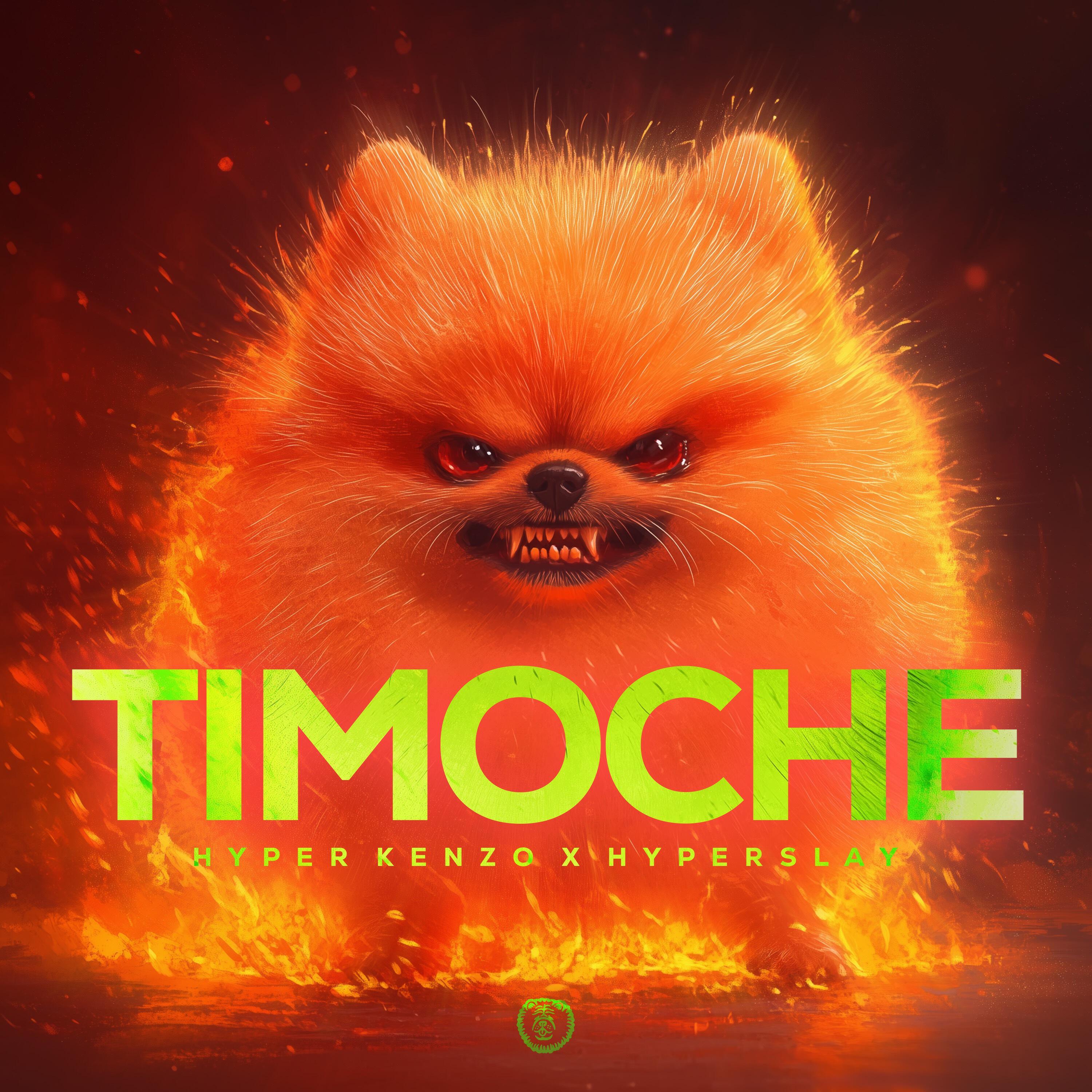 Релиз TIMOCHE