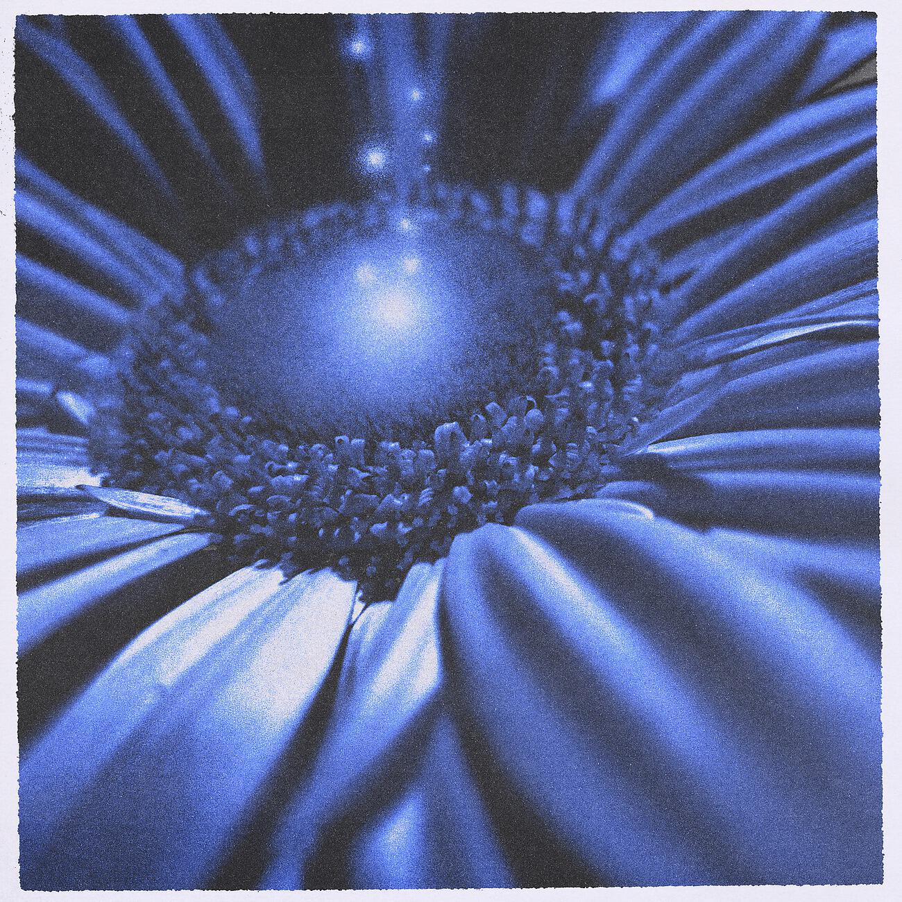 Релиз Blue Energy