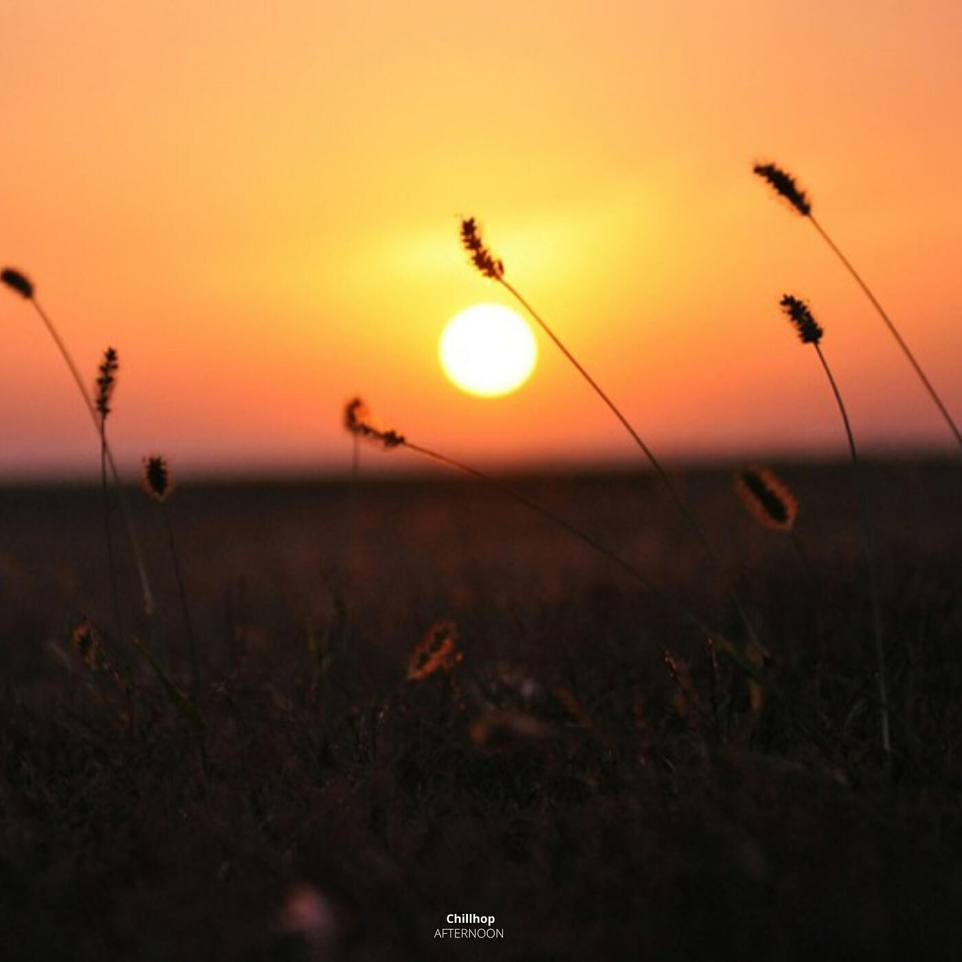 Релиз Afternoon