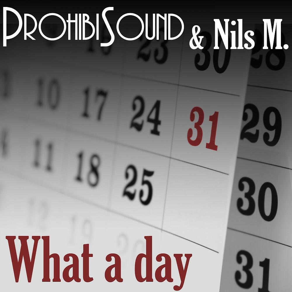 Prohibisound & Nils M.