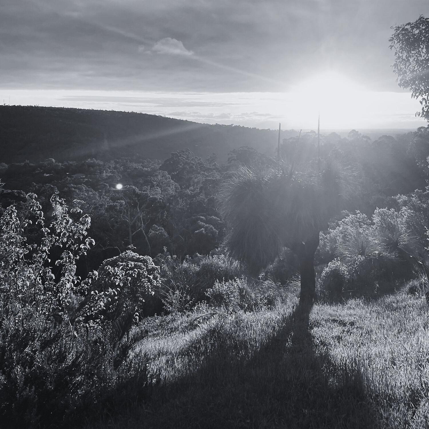 Релиз The Valley Is My Home