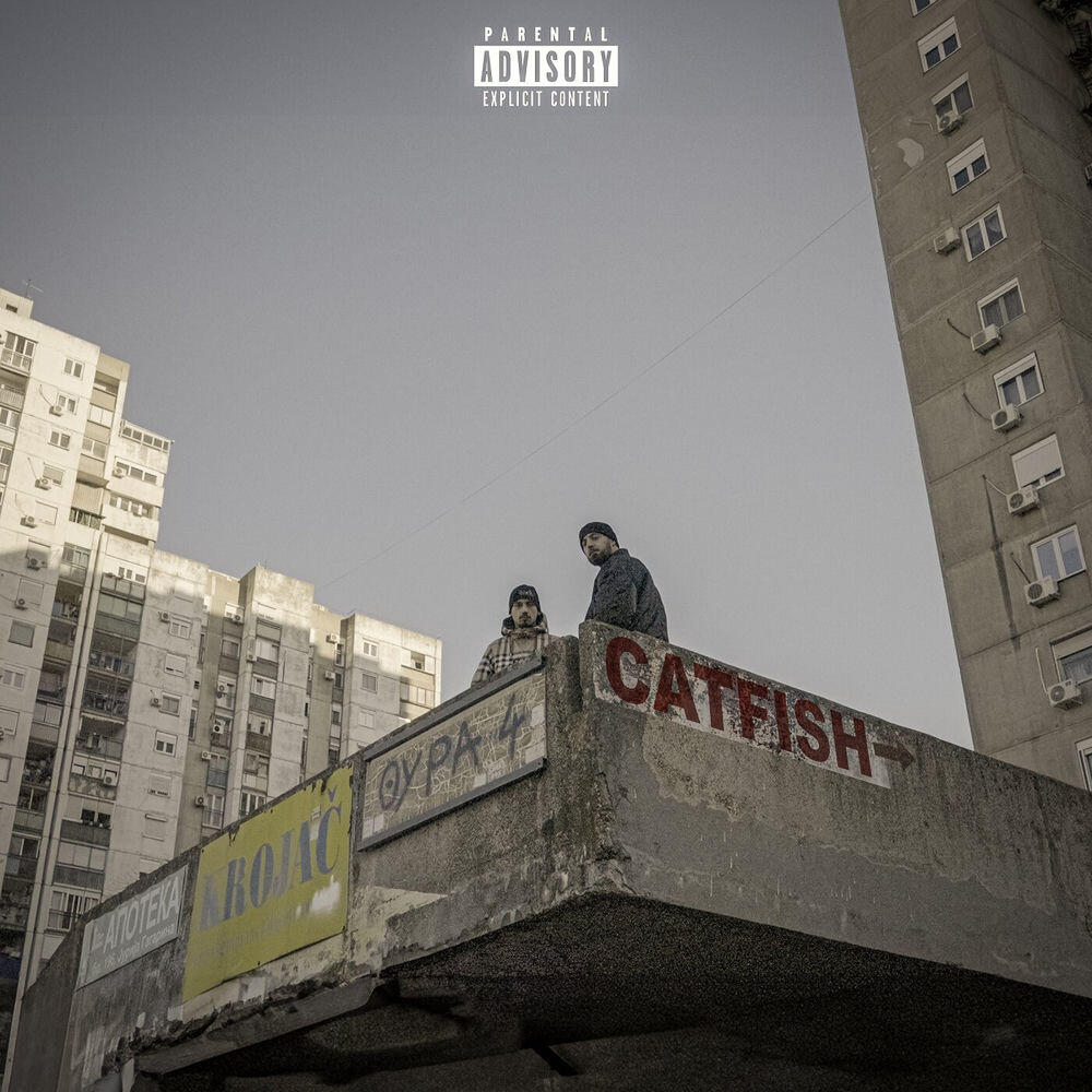 Релиз Catfish