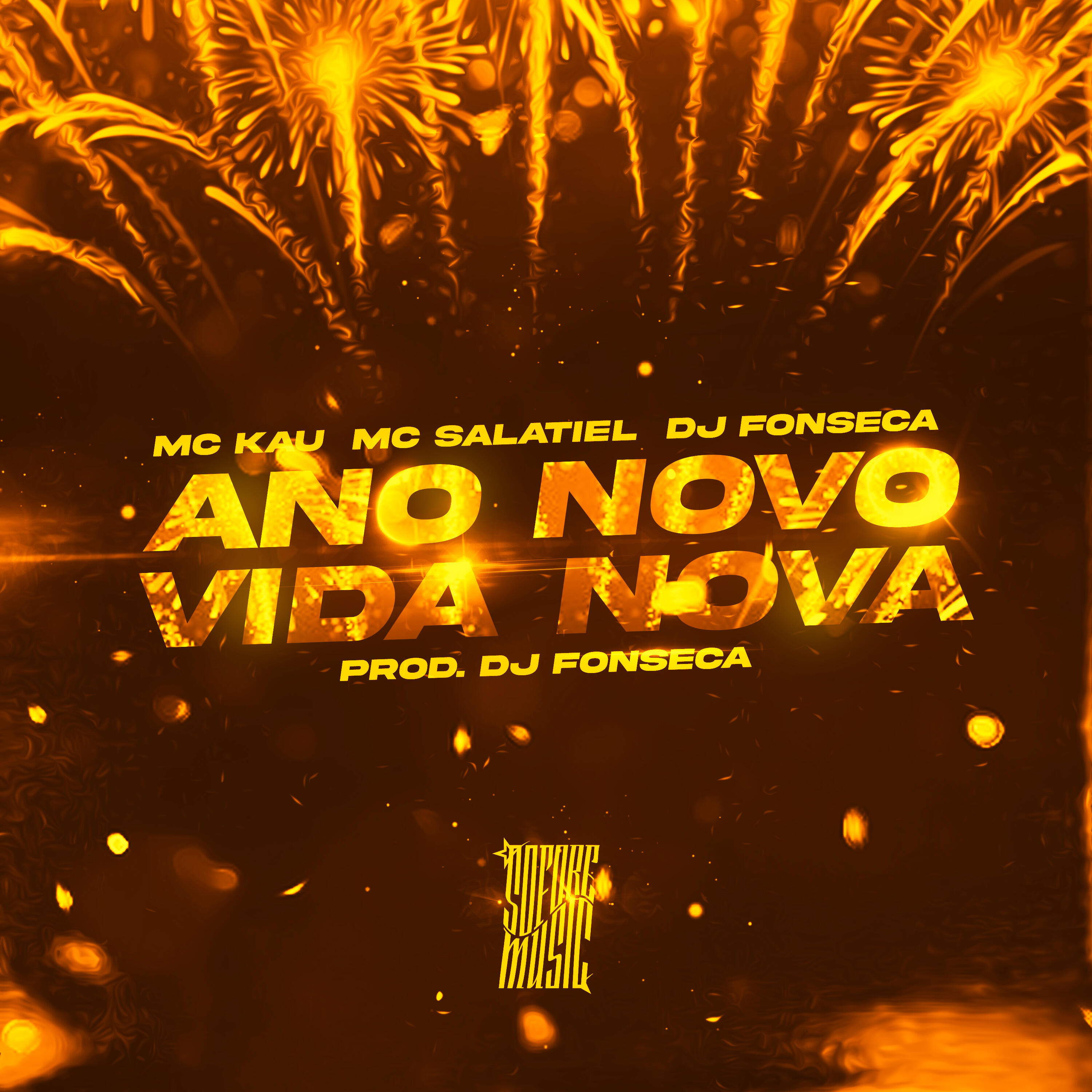 Постер альбома Ano Novo, Vida Nova