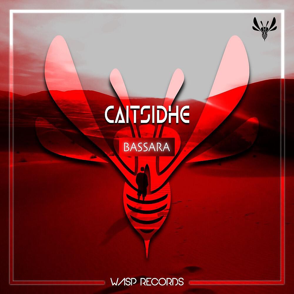 Релиз Bassara
