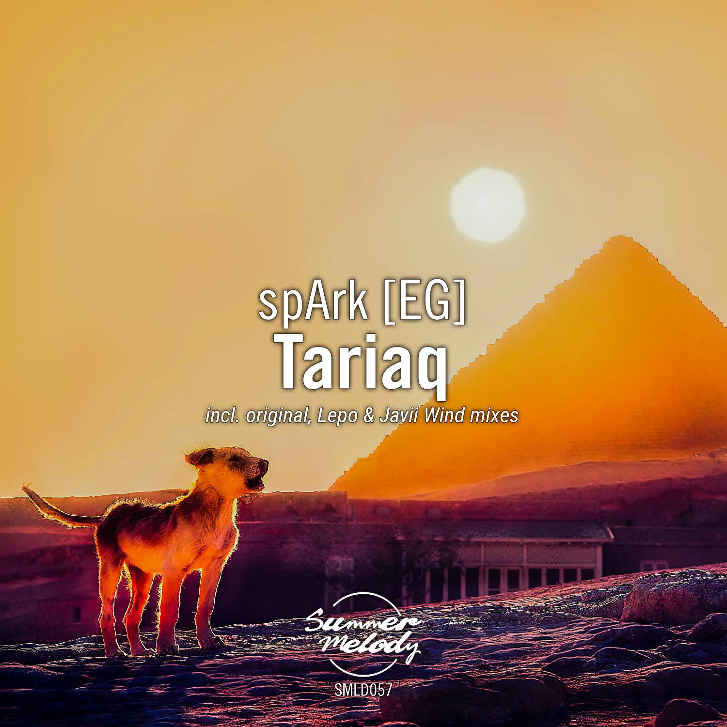 Релиз Tariaq