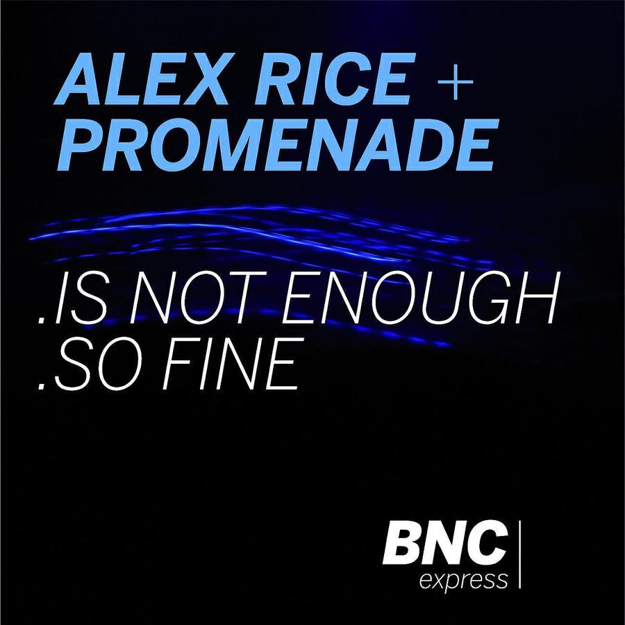 Alex Rice