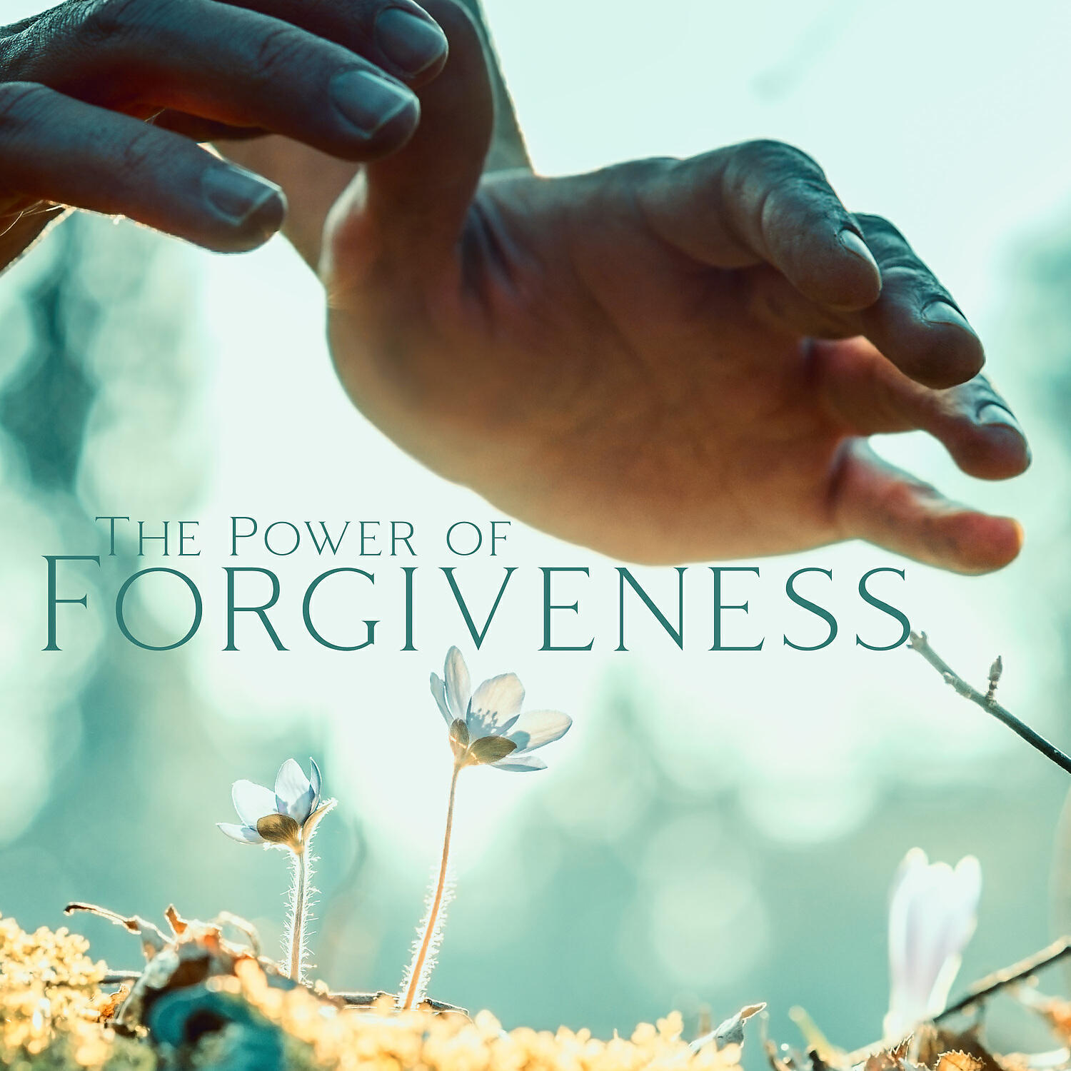 Релиз The Power of Forgiveness: Awareness Meditation, Stop Regretting and Live Now