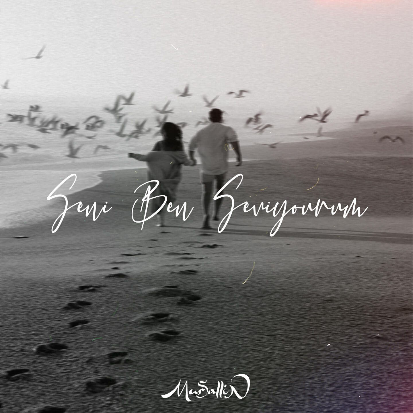 Релиз Seni Ben Seviyourum