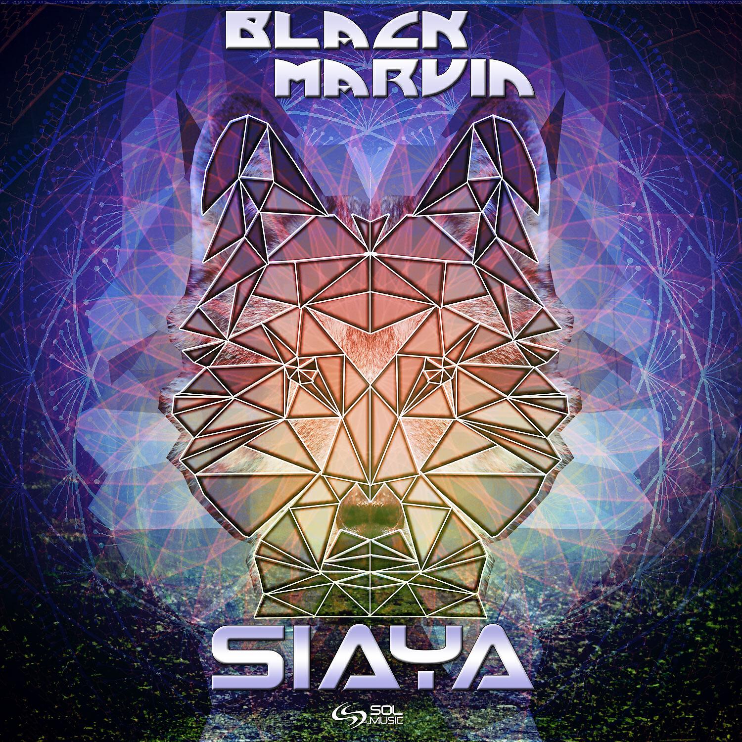 Релиз Siaya