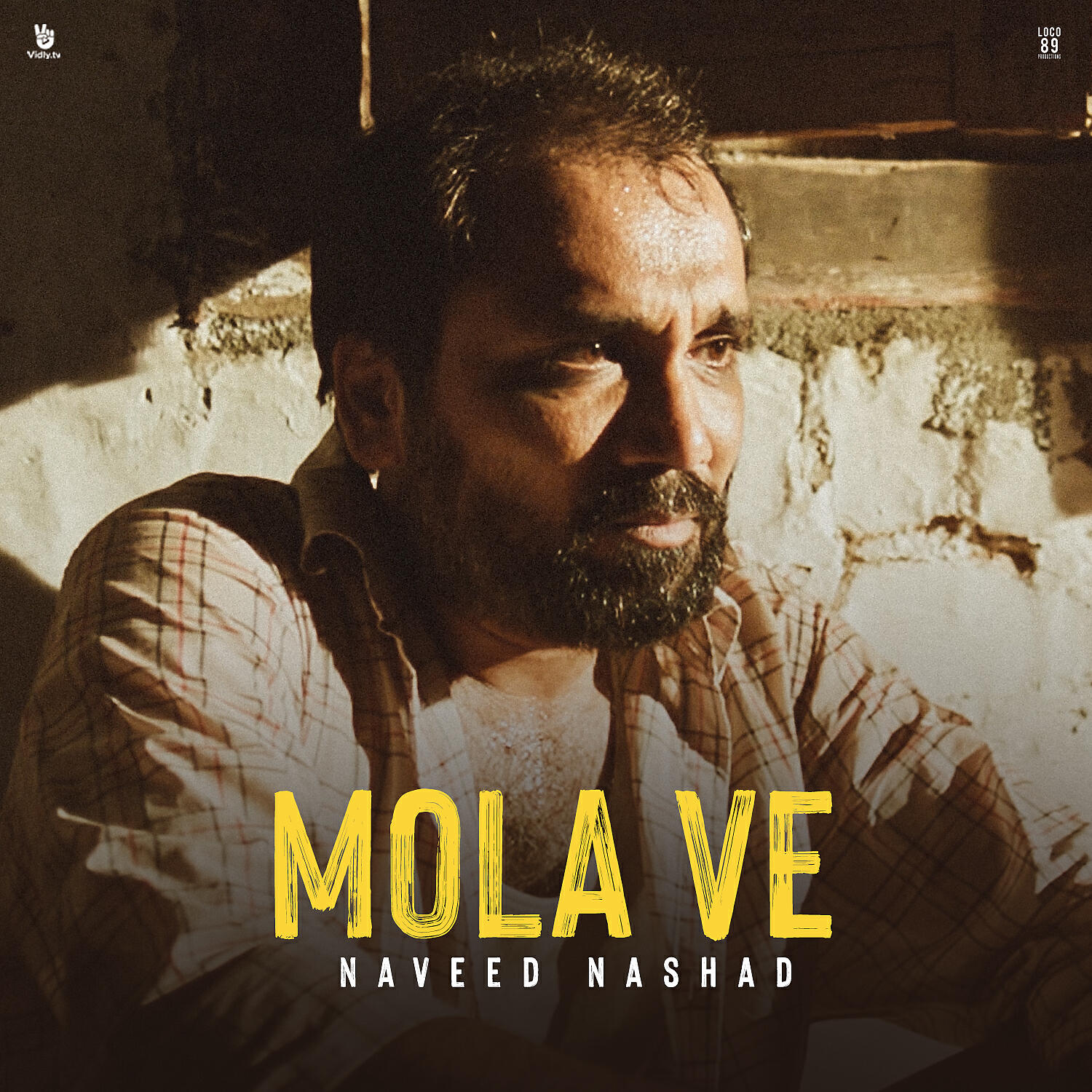 Релиз Mola Ve ( From "Sevak" )