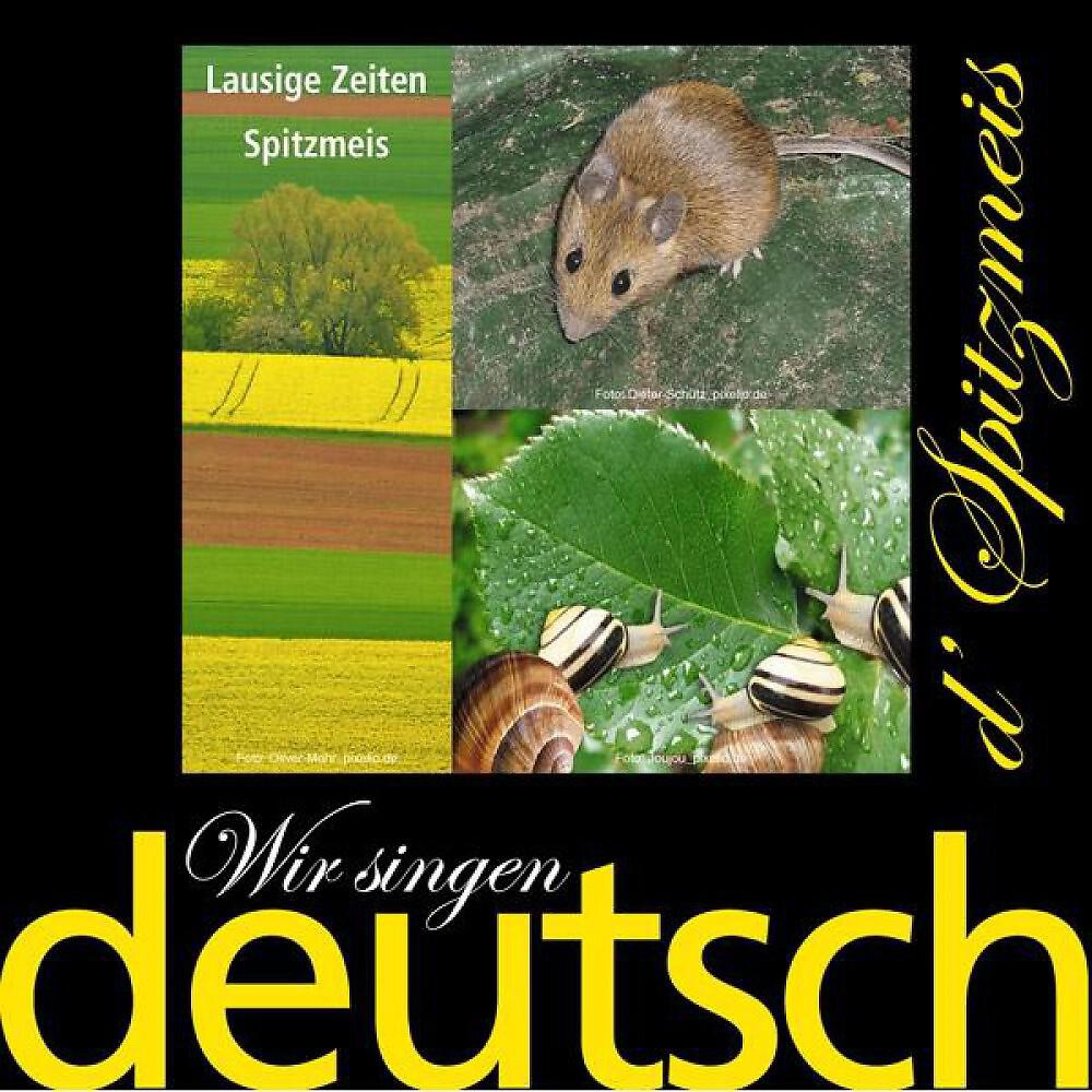 Релиз Wir singen deutsch - Lausige Zeiten