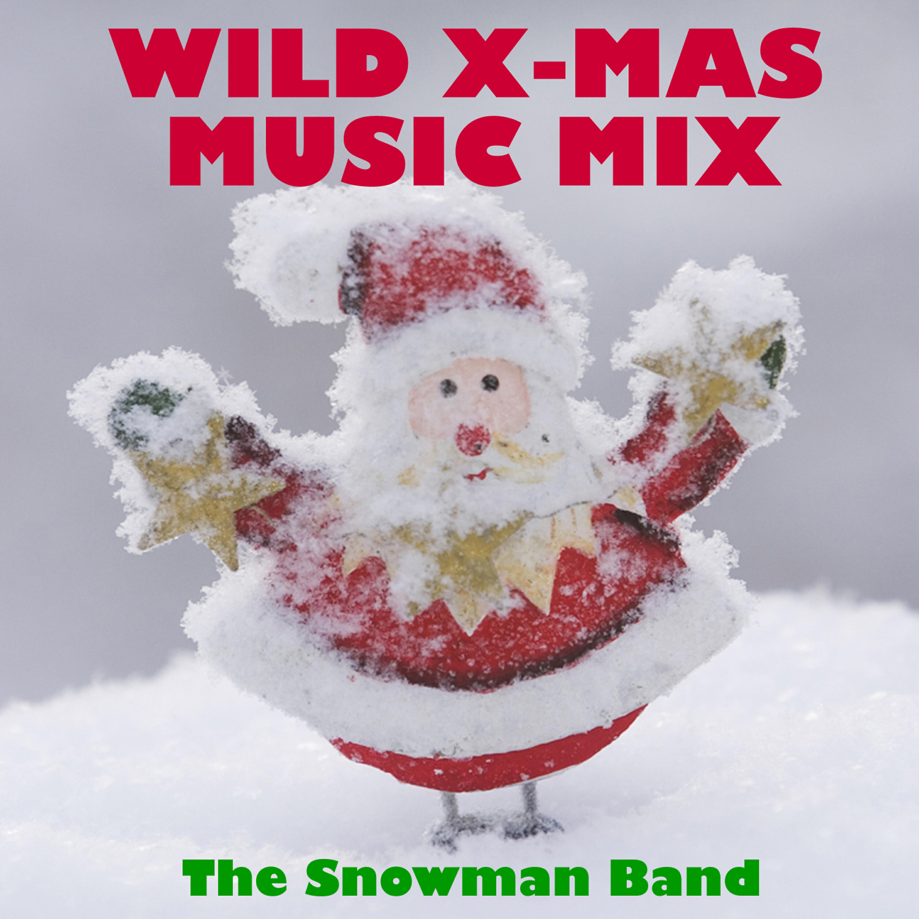 Релиз Wild X-Mas Music Mix