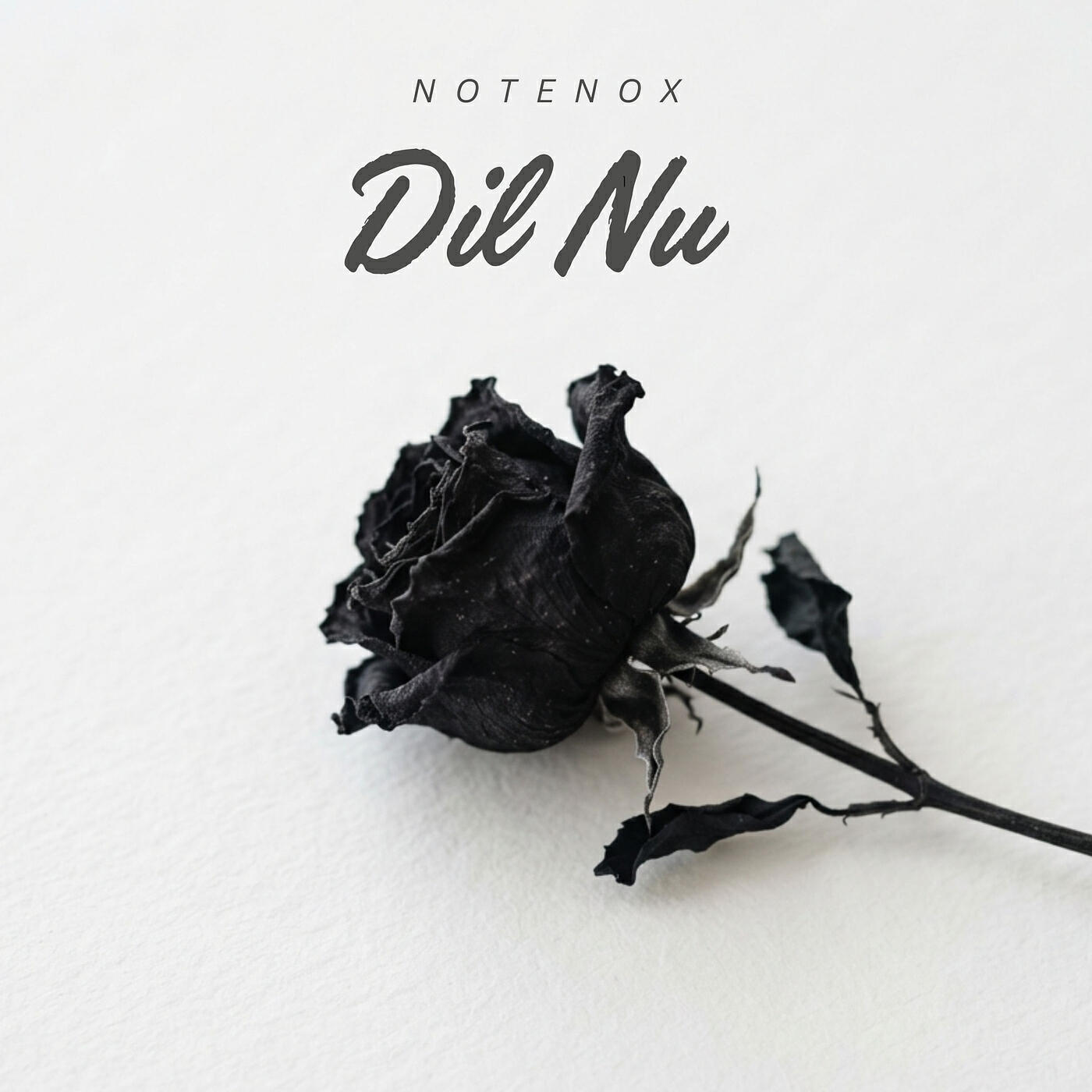 Релиз Dil Nu
