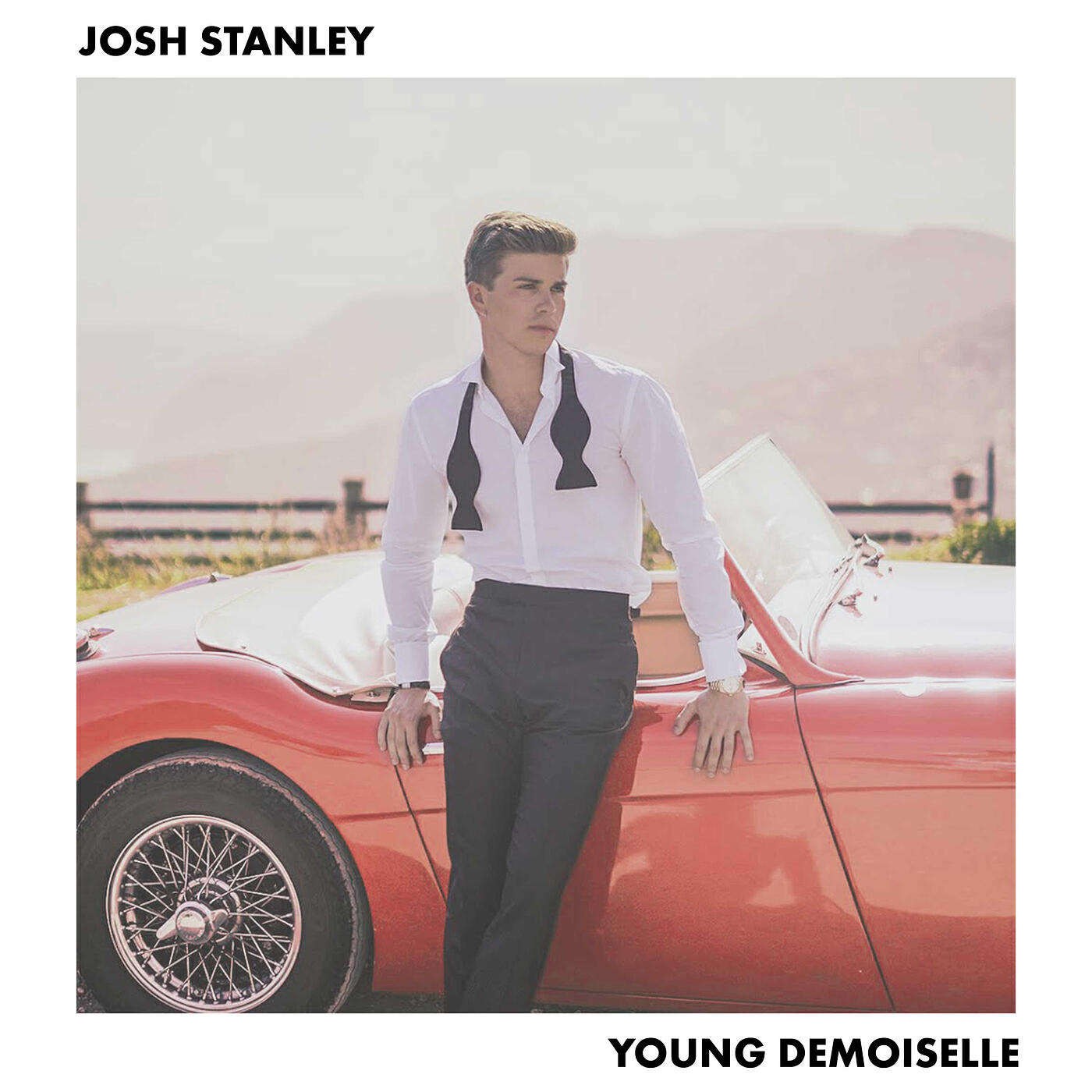 Релиз Young Demoiselle
