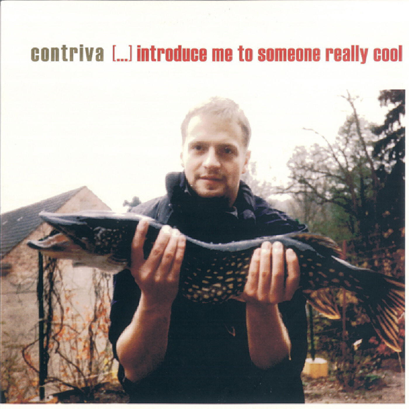 Релиз Introduce Me To Someone Really Cool