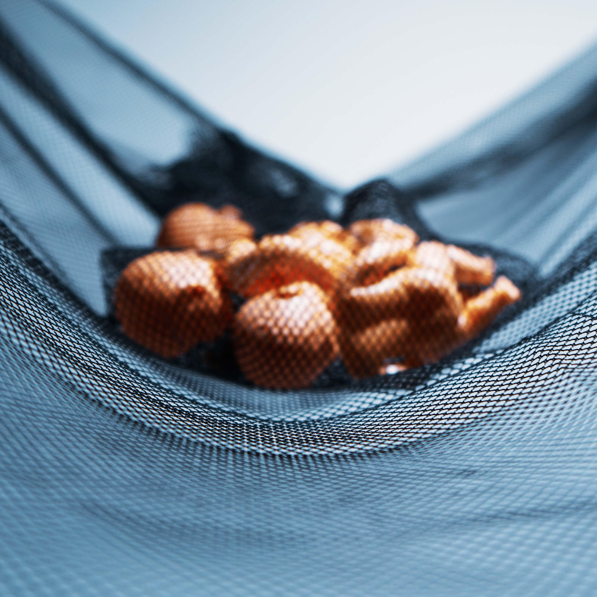 Релиз CARGO NET