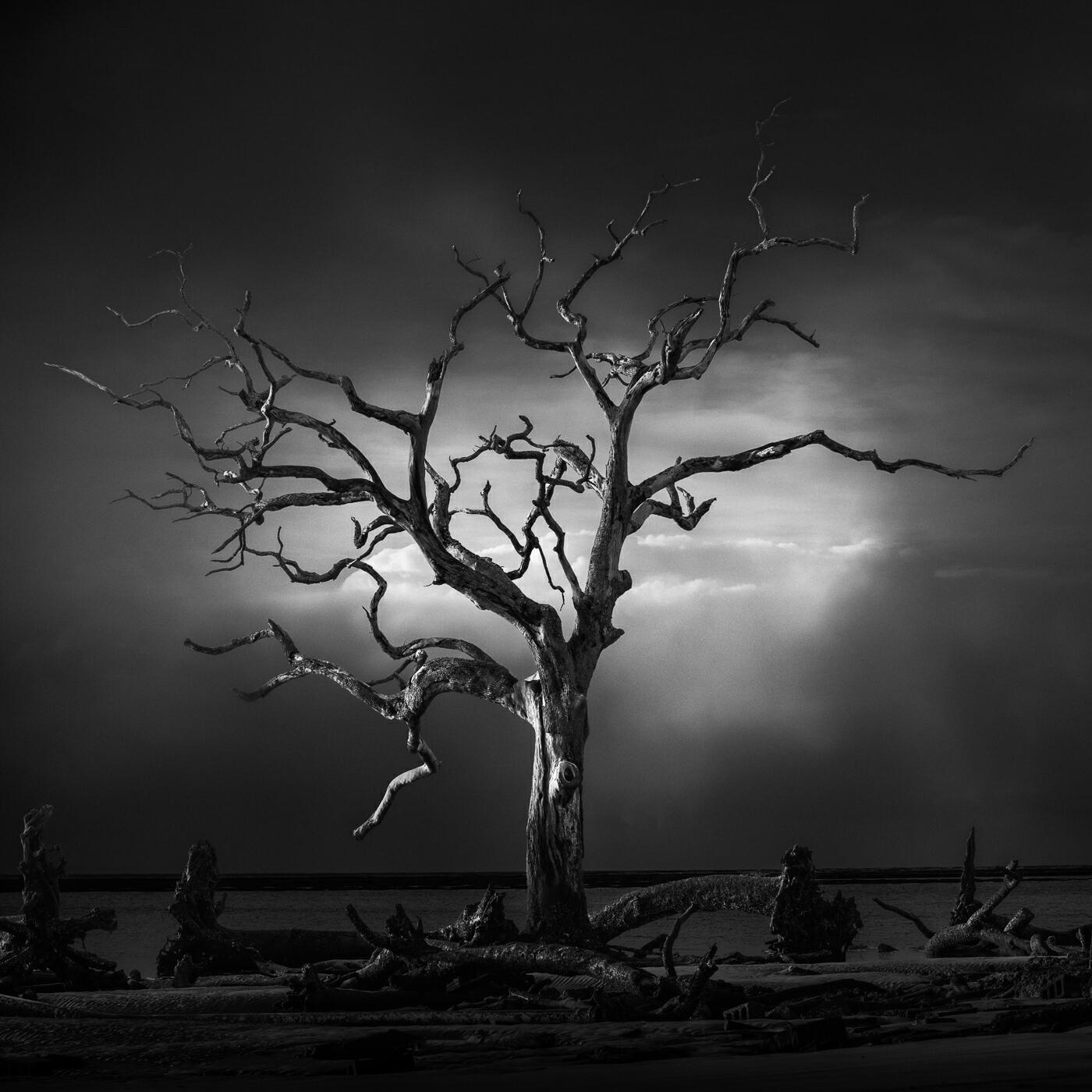 Релиз Darkness