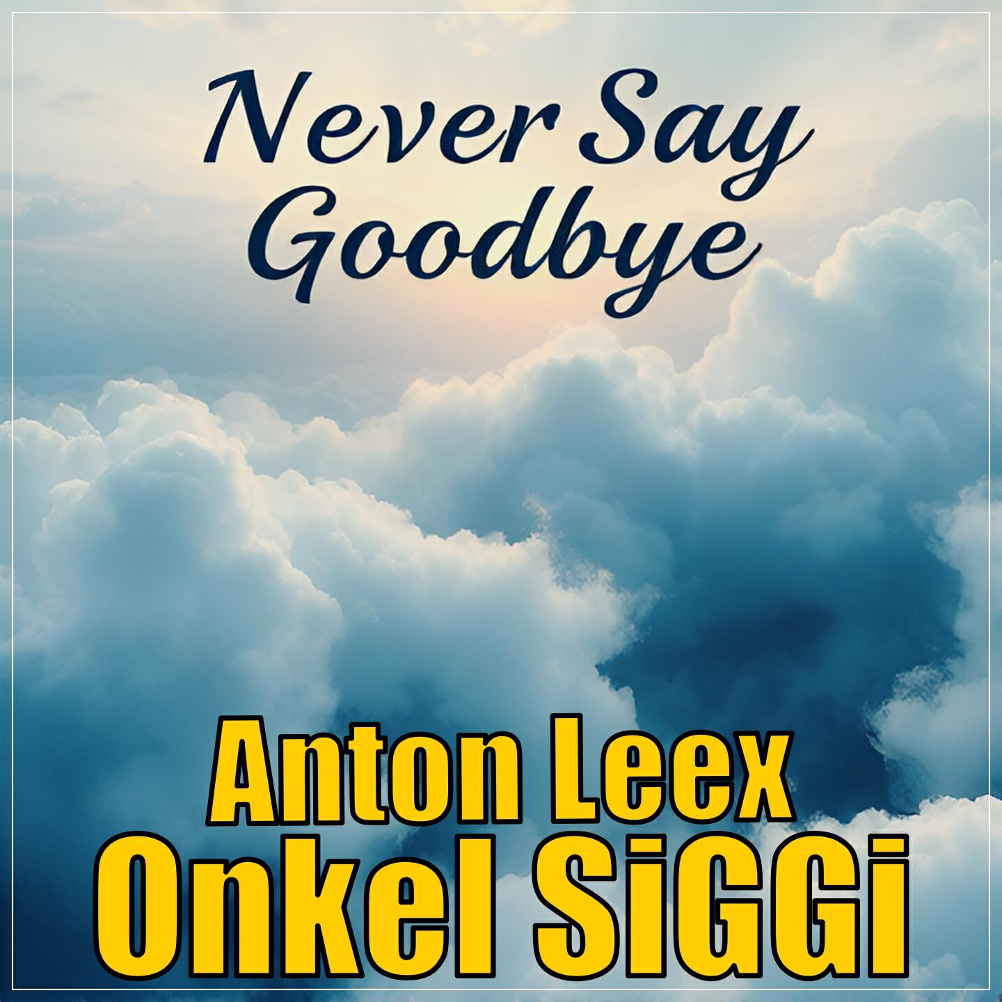 Релиз Never Say Goodbye