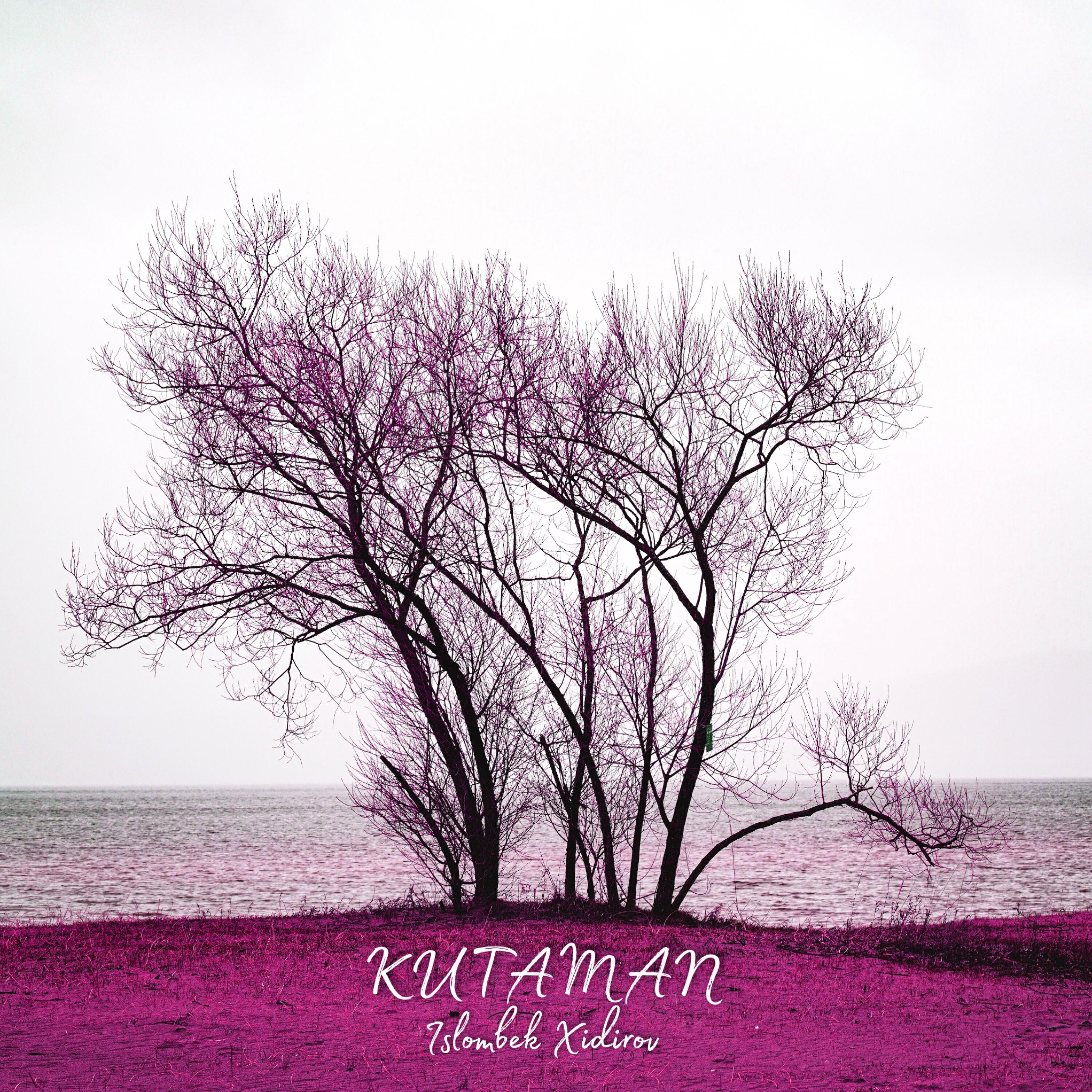 Постер альбома Kutaman