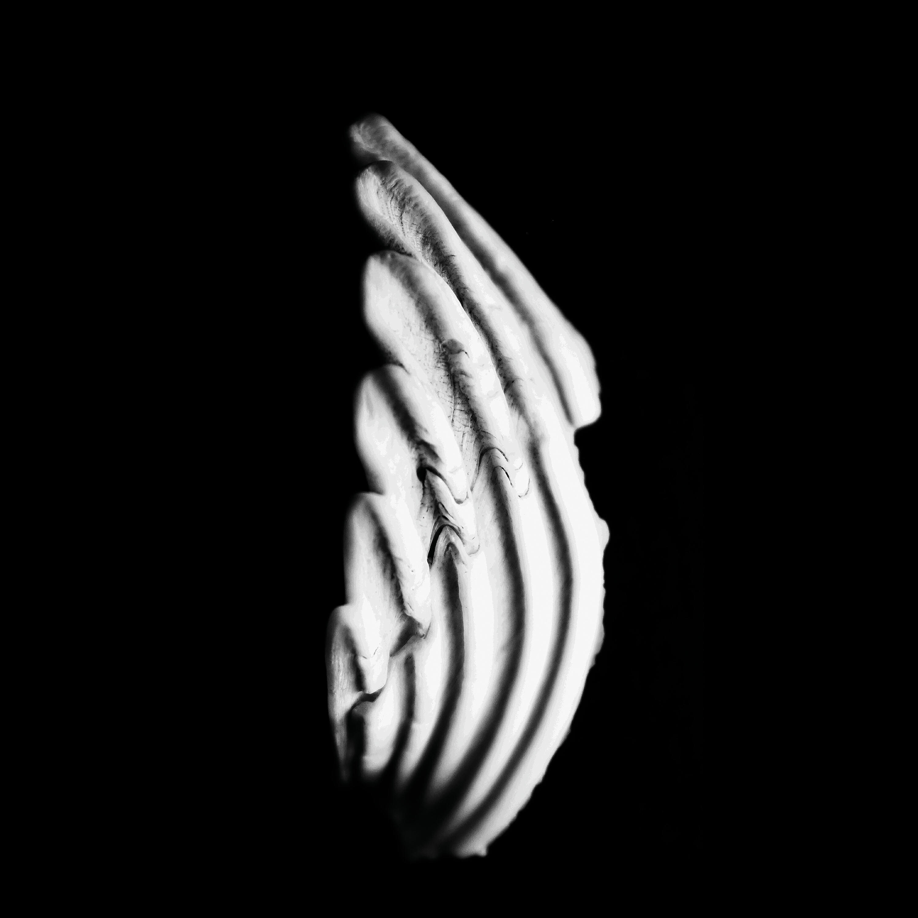 Релиз Argon