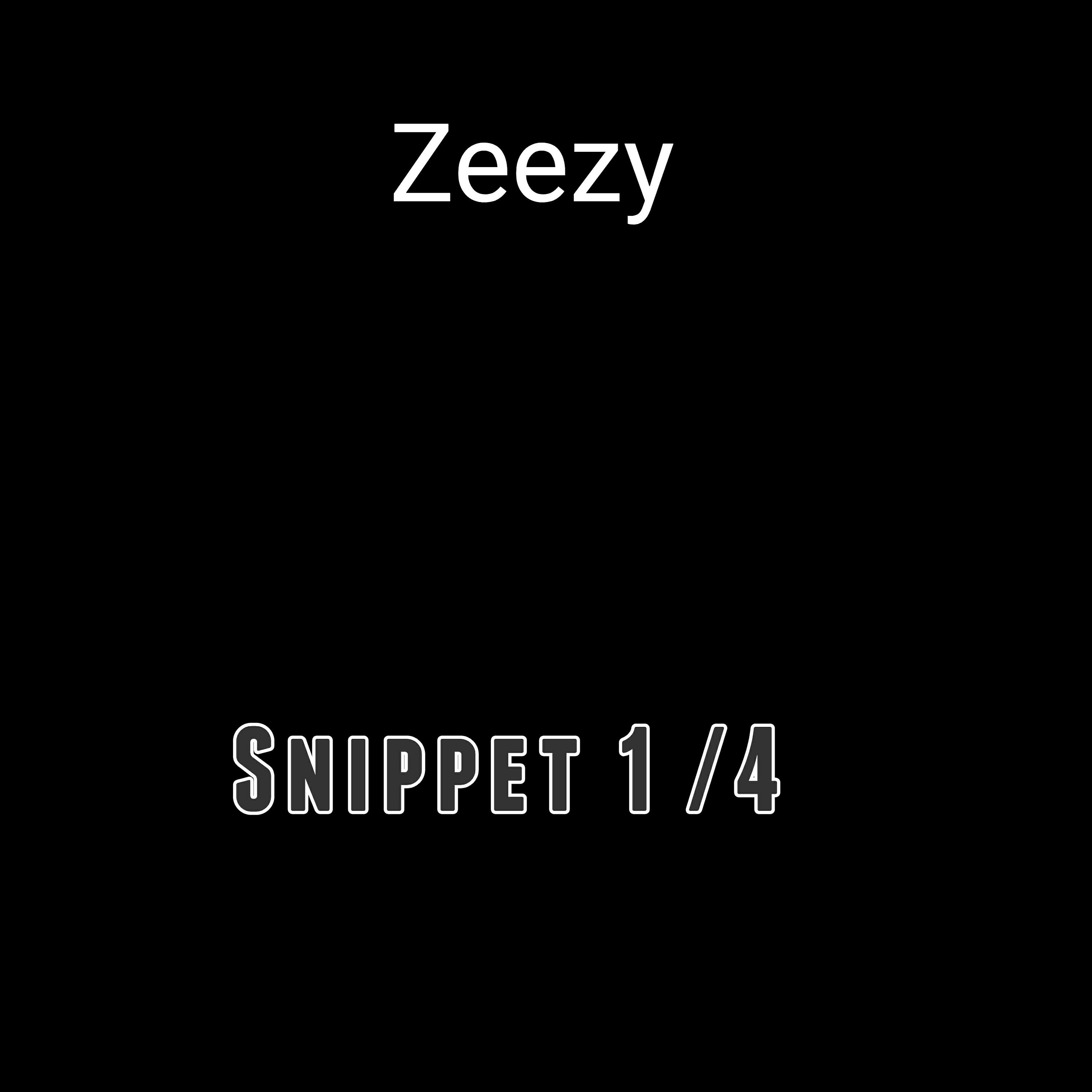 Релиз Snippet 1/4