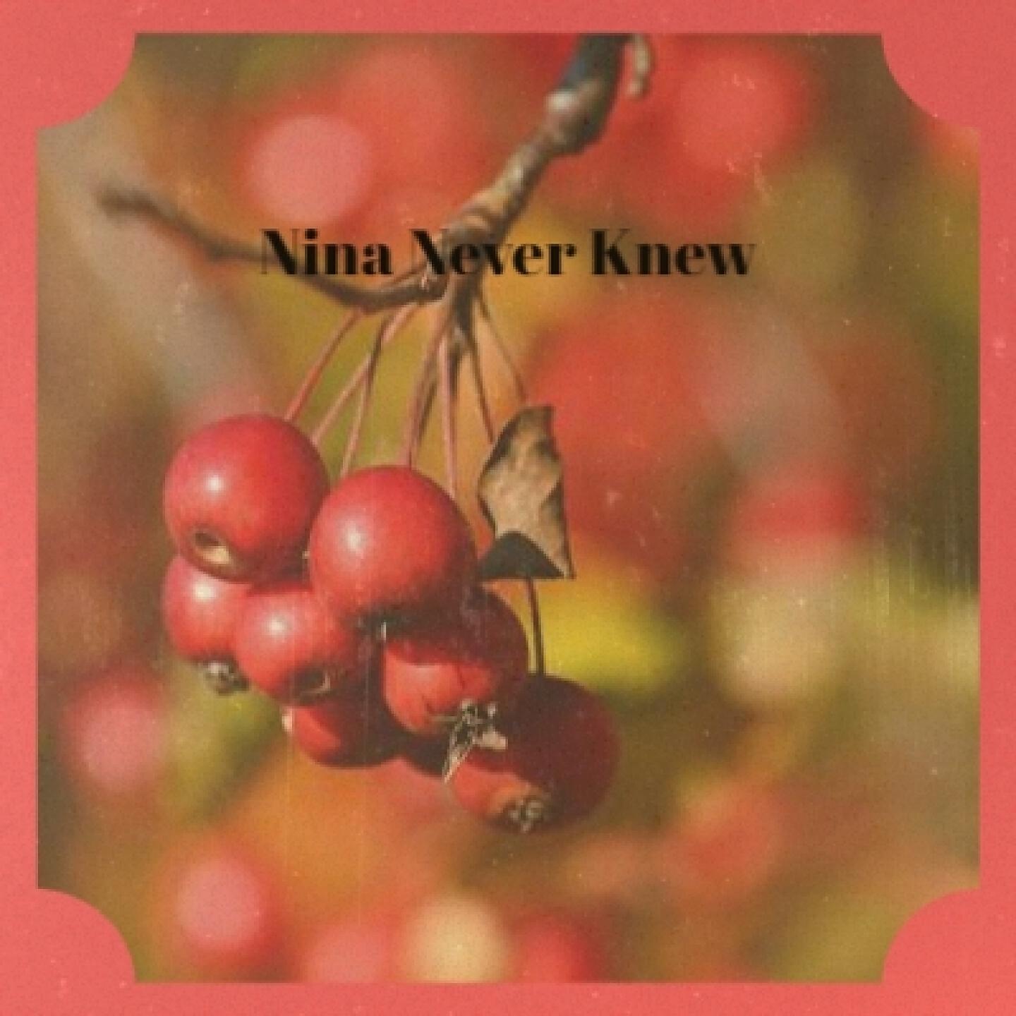 Релиз Nina Never Knew