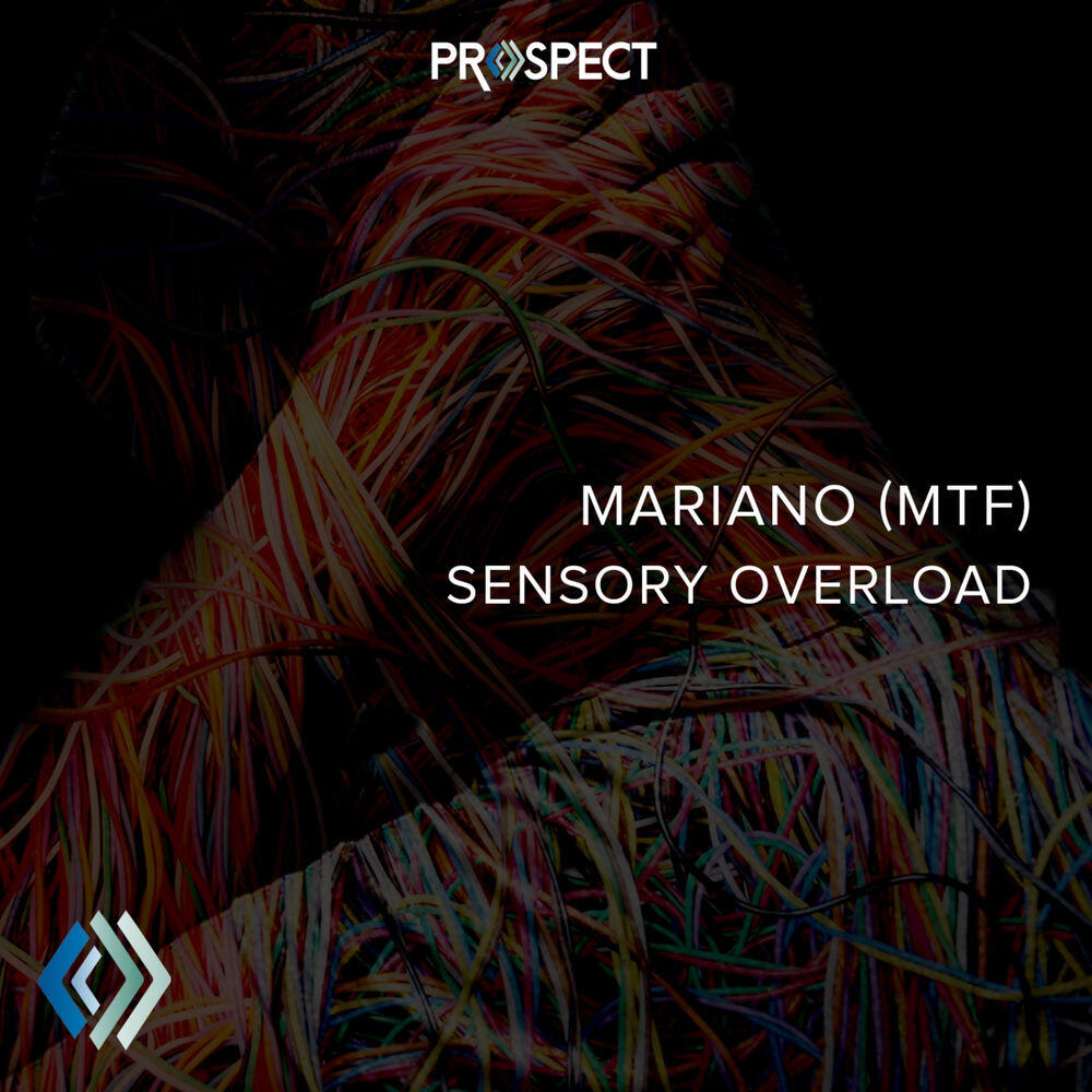 Релиз Sensory Overload EP