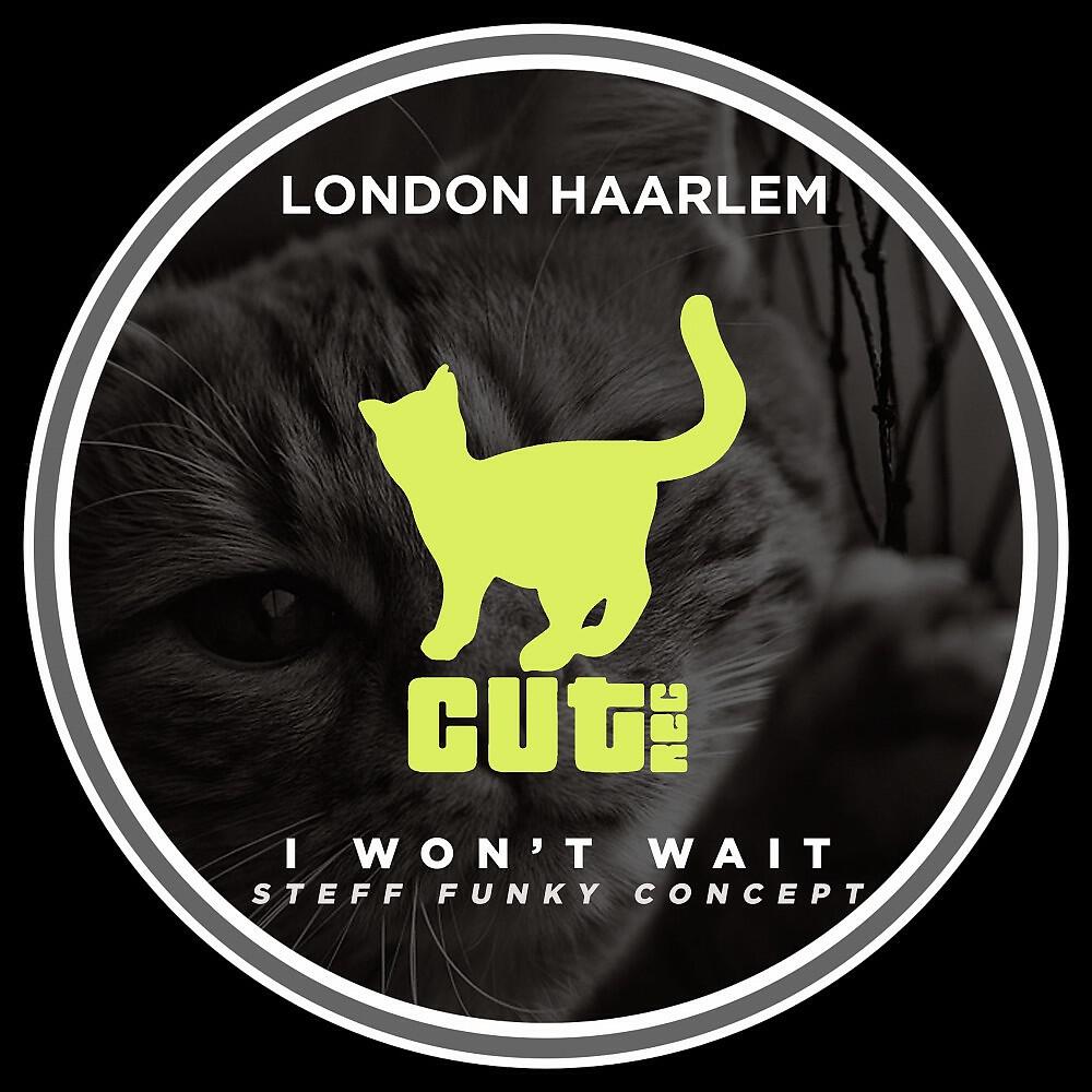 Релиз I Won't Wait (Steff Funky Concept Mix)